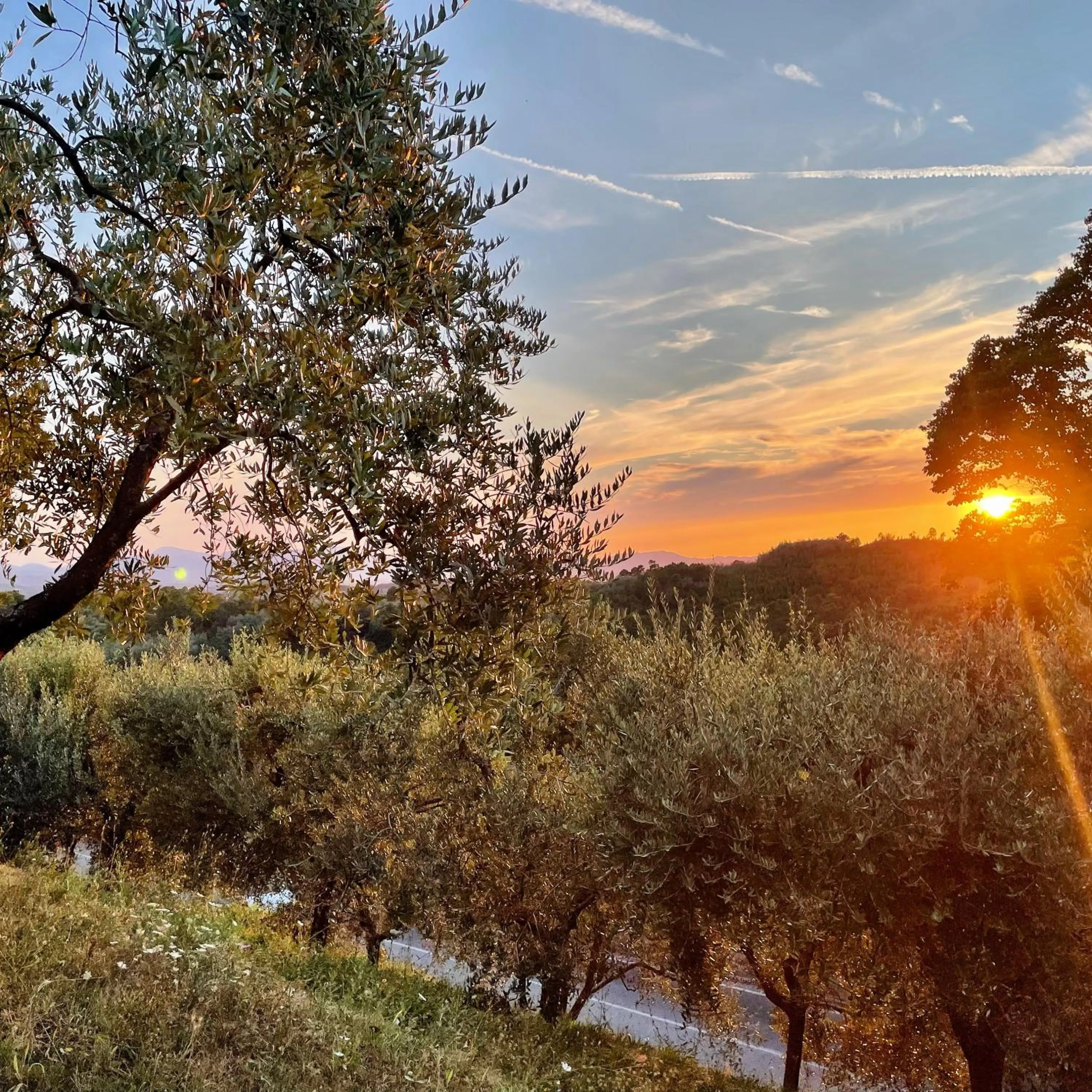 Sunset in B&B Alloro