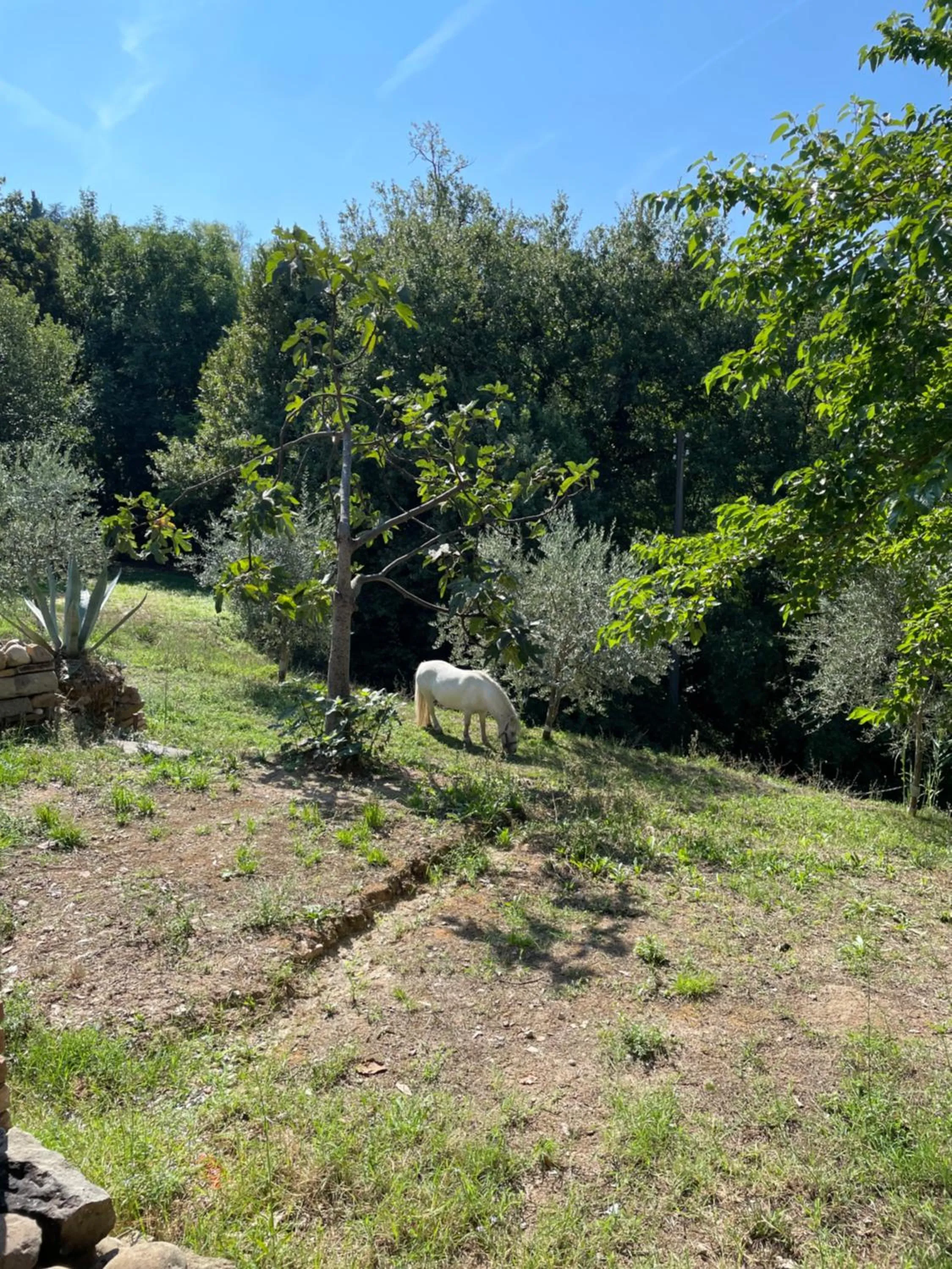 Spring in B&B Alloro