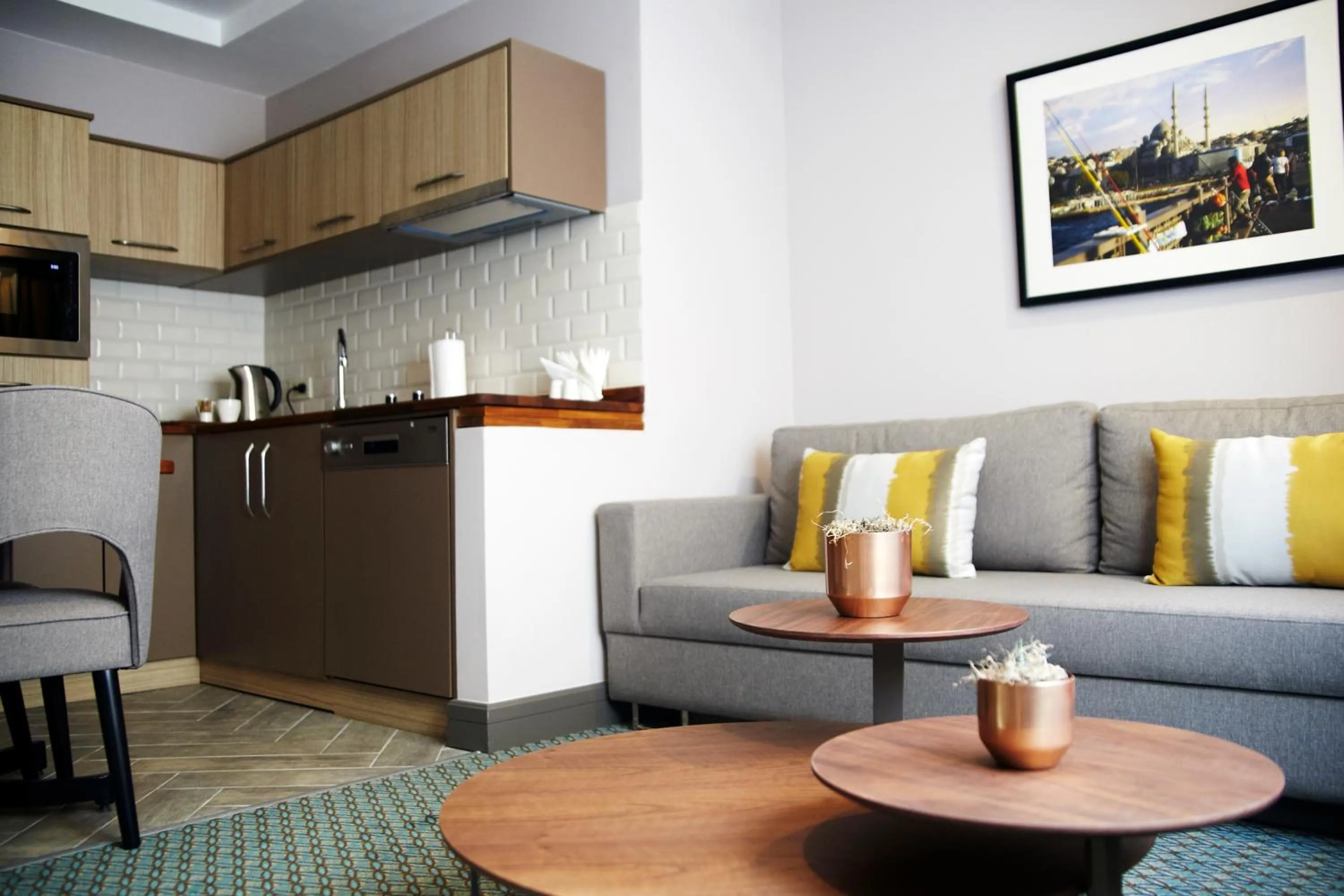 TV and multimedia in Tophane Suites