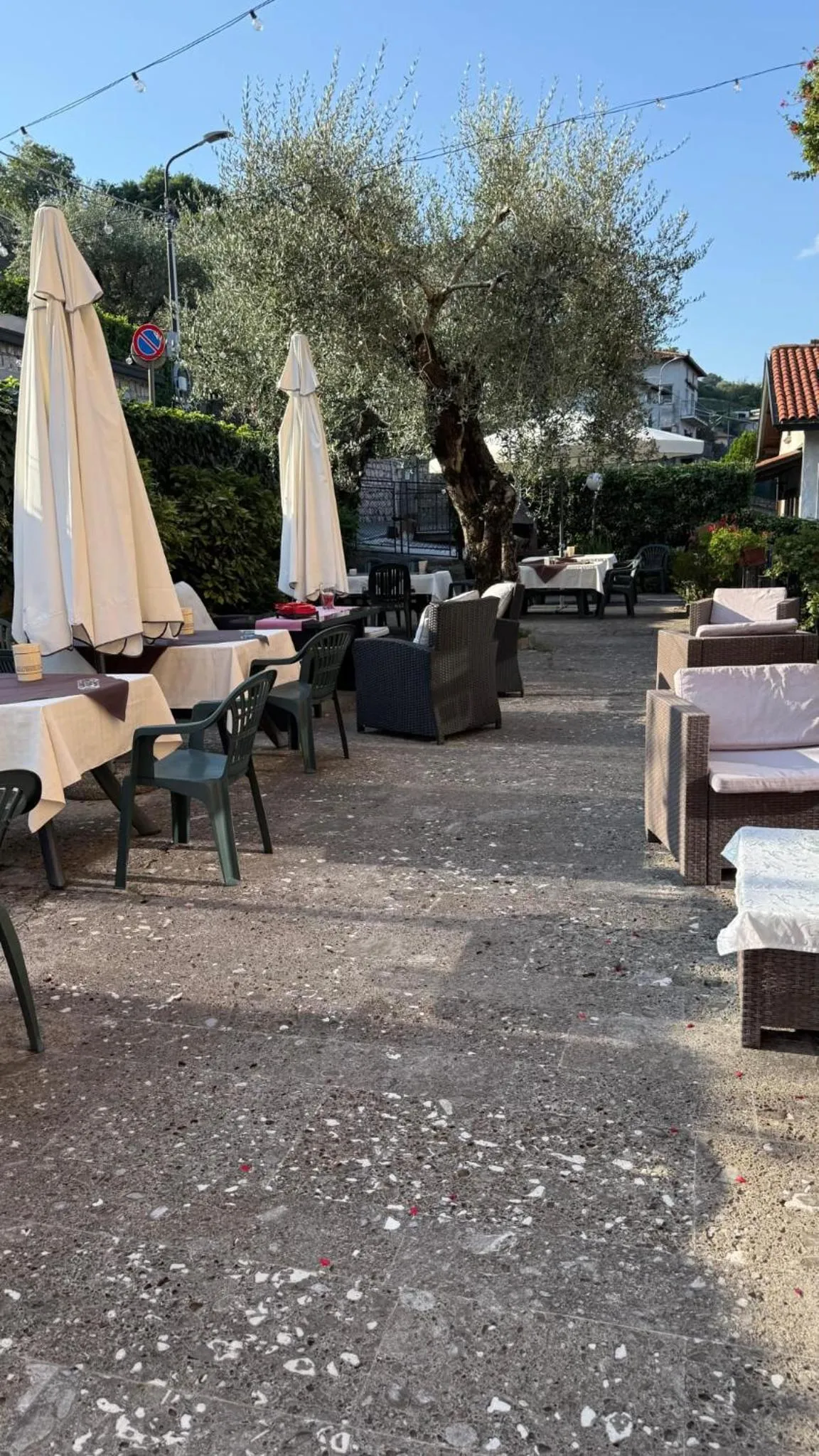 Garden in Hotel Bellavista Meublè