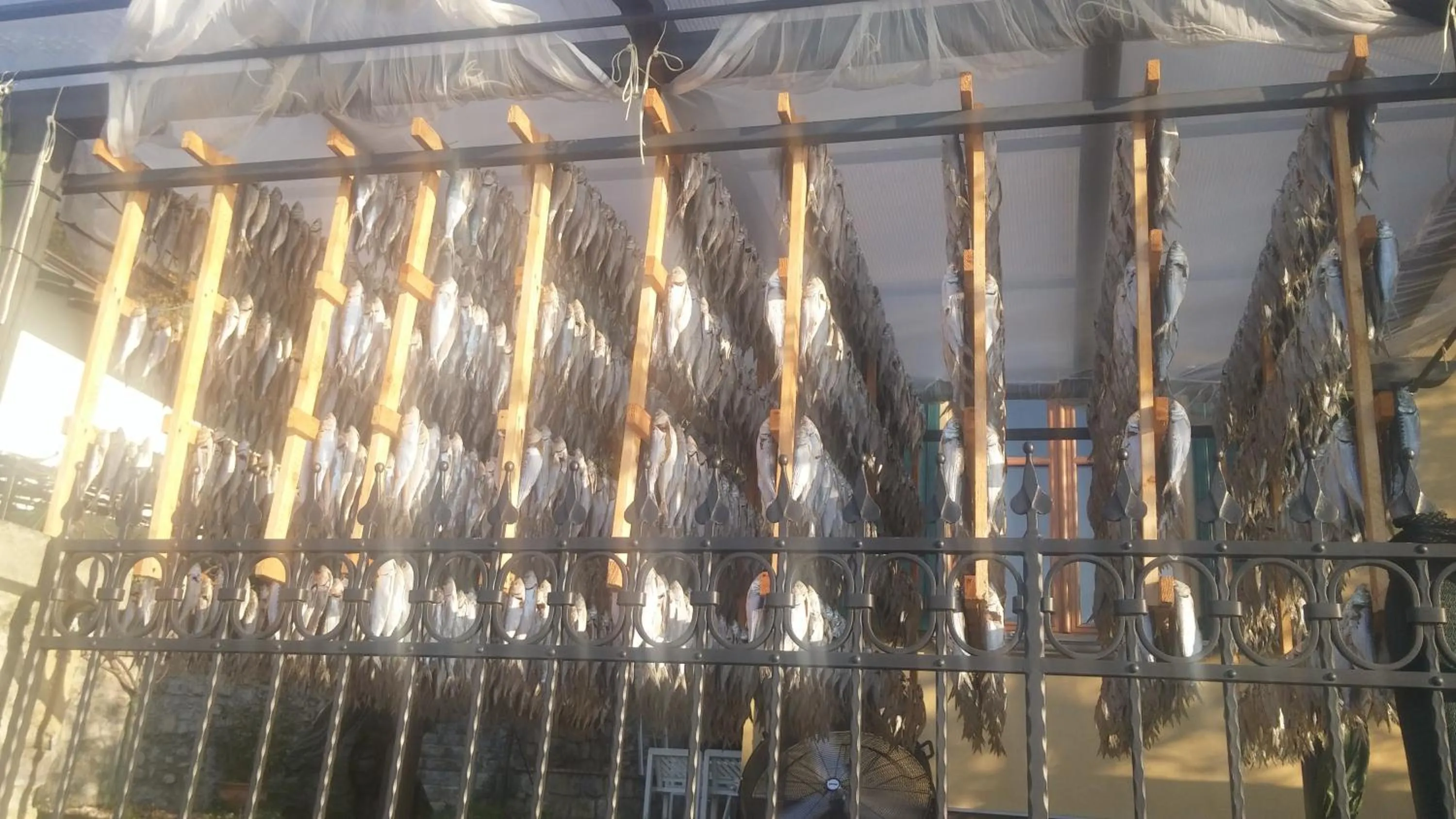 Food close-up in Hotel Bellavista Meublè