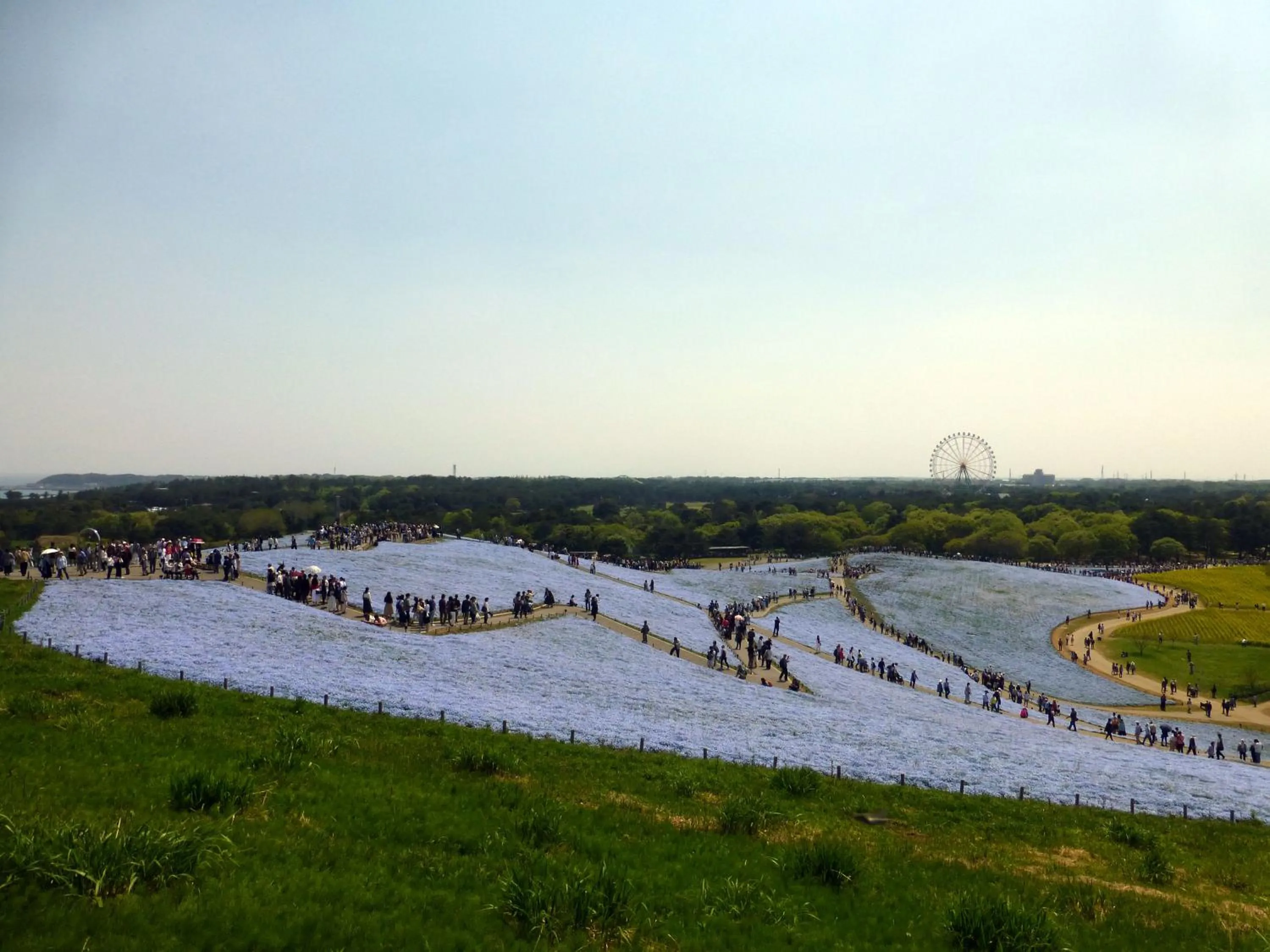 Nearby landmark in Yusenso