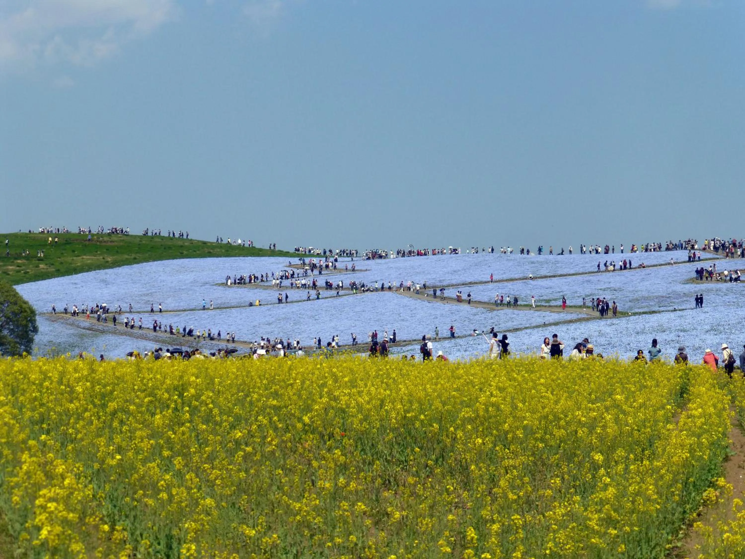 Nearby landmark in Yusenso