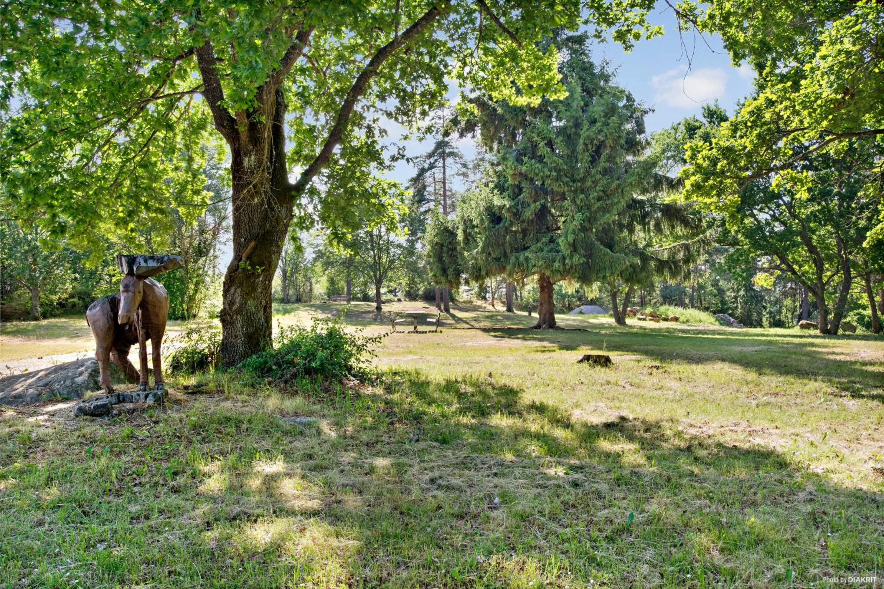 Natural landscape in First Camp Kolmården-Norrköping