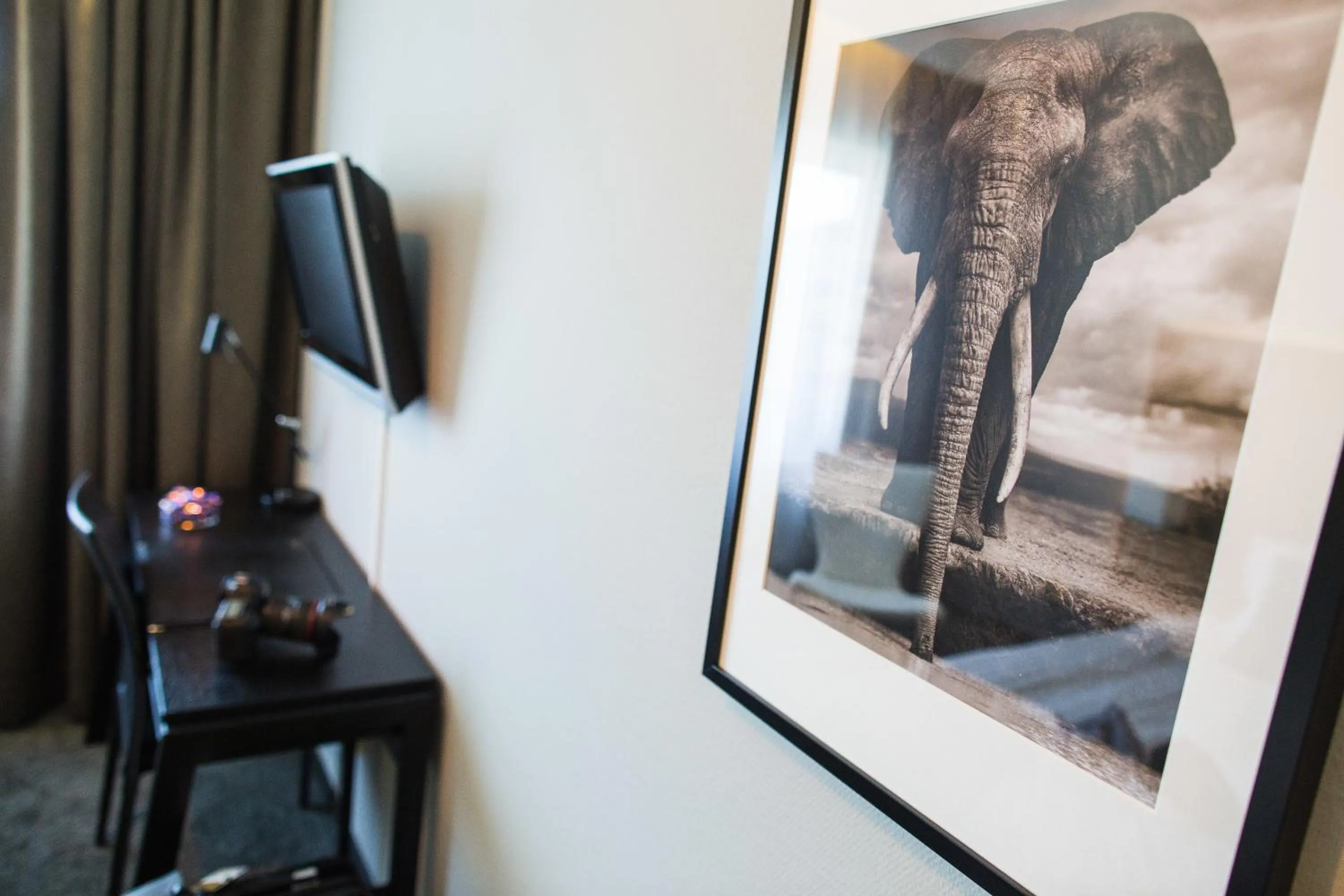 Decorative detail in Nova Park Conference