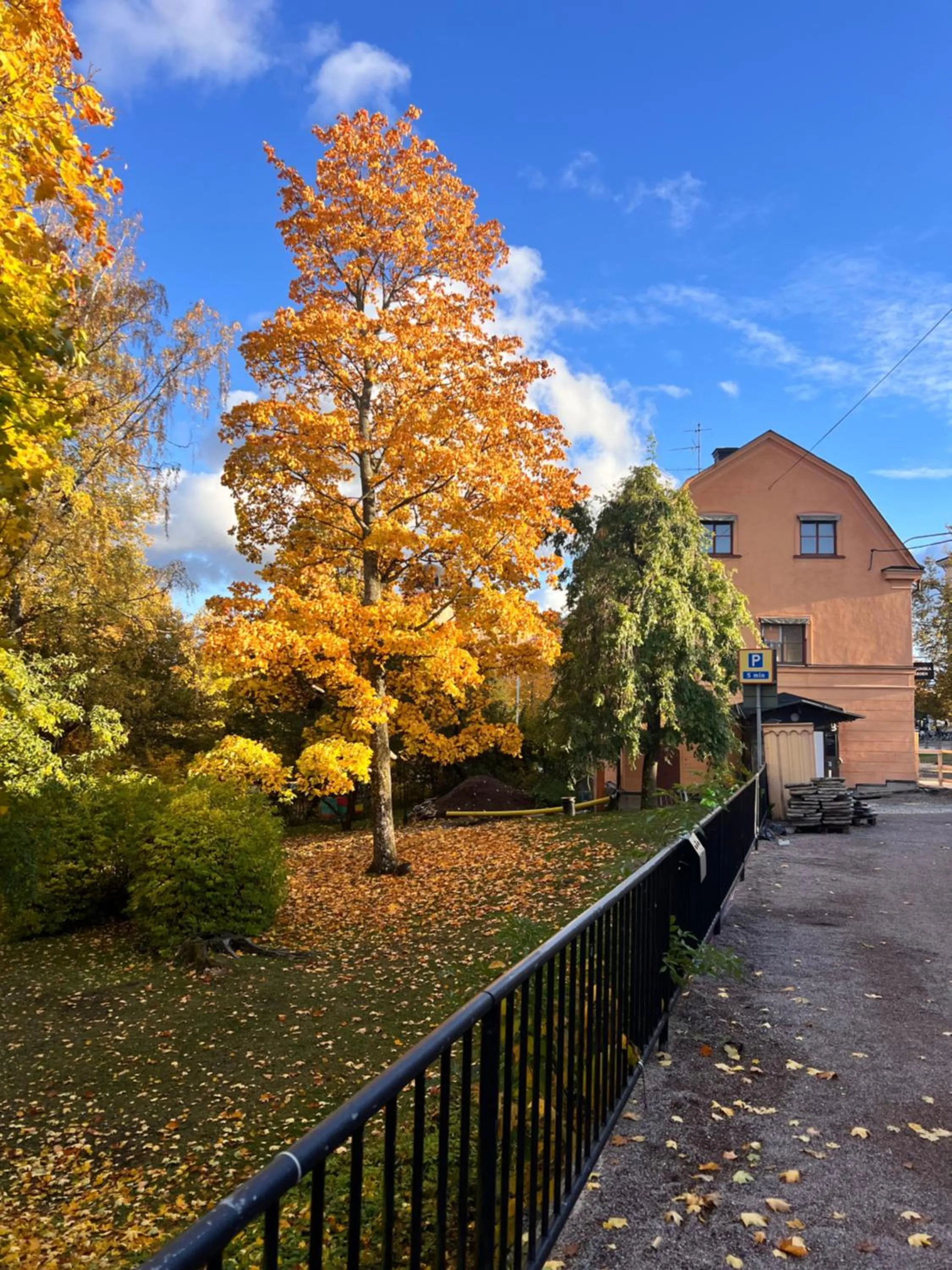 Garden view in Akademihotellet