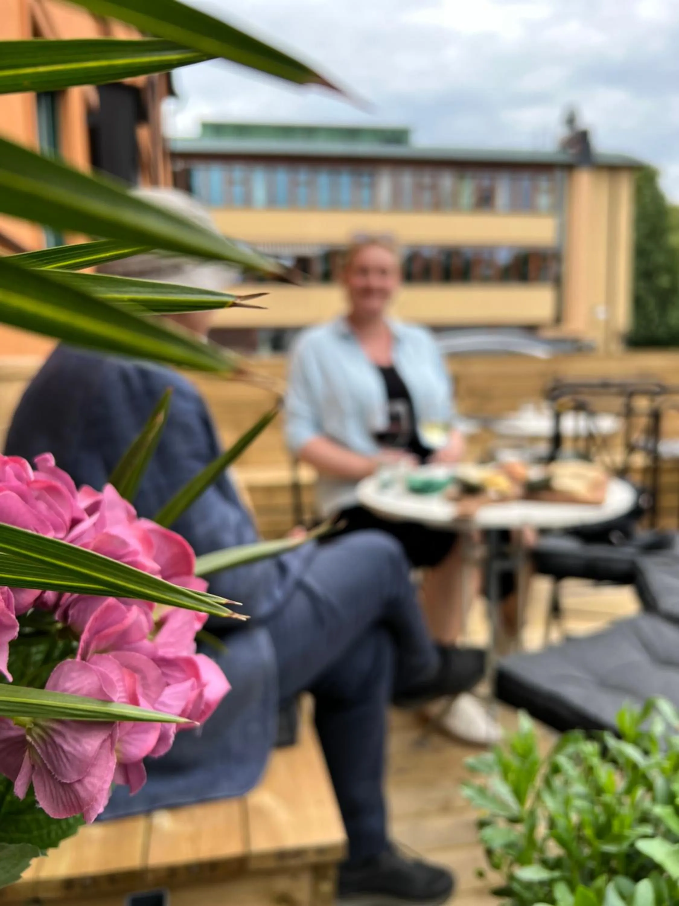 Day in Akademihotellet