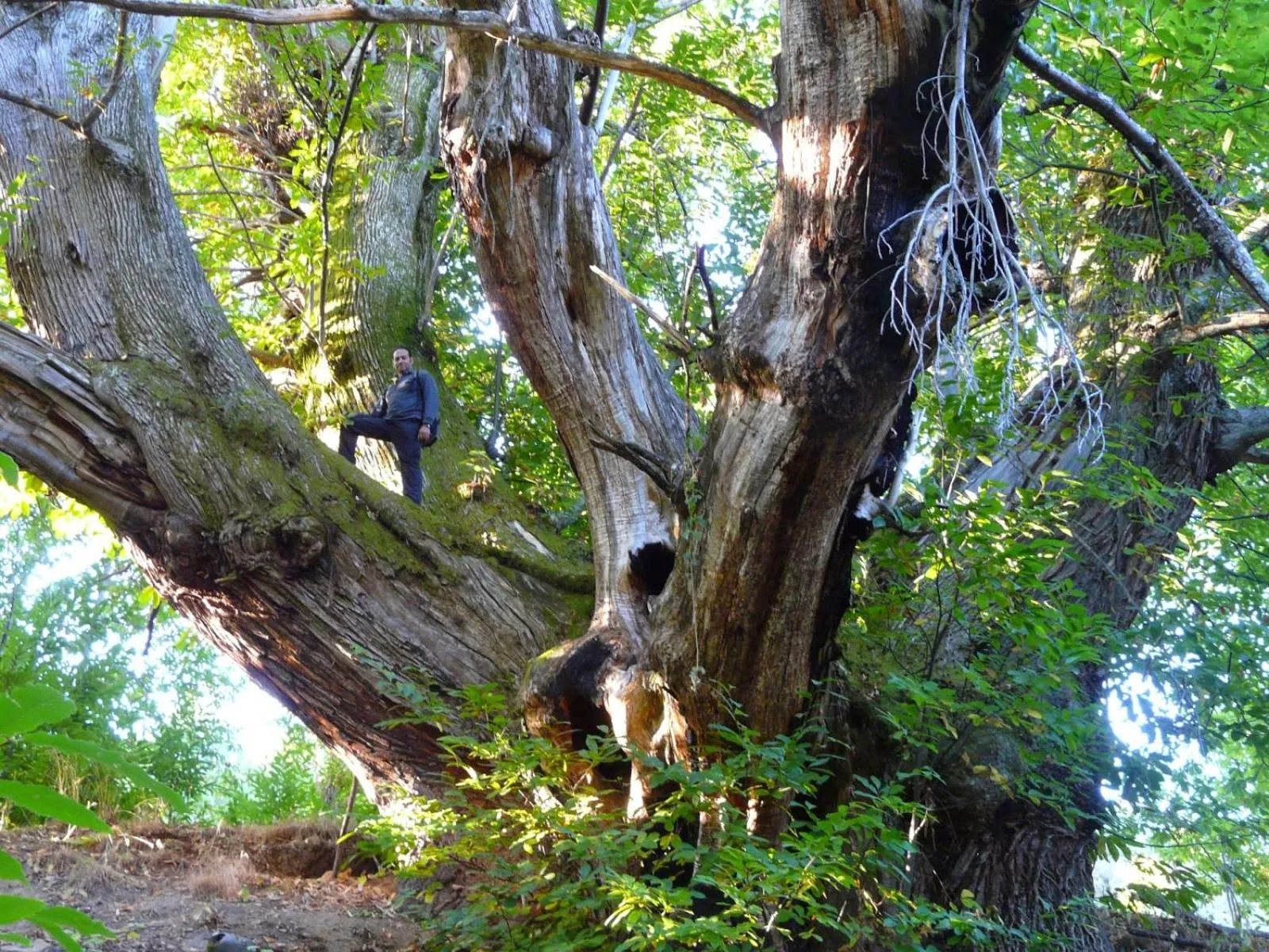 Off site in Apartamentos el Camino