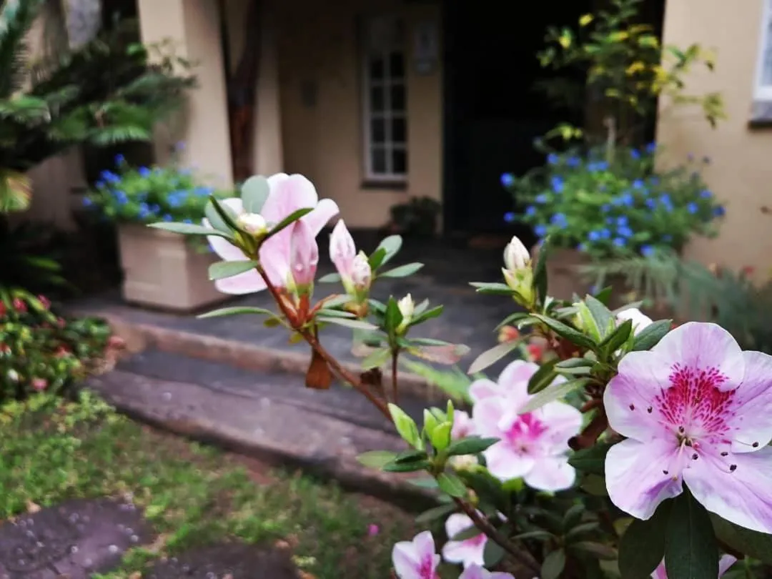 Facade/entrance in Idle & Wild Chalet