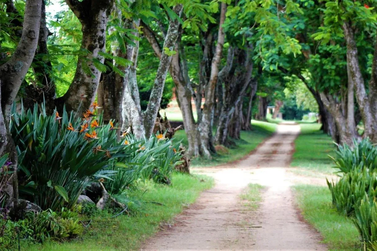 Facade/entrance in Idle & Wild Chalet
