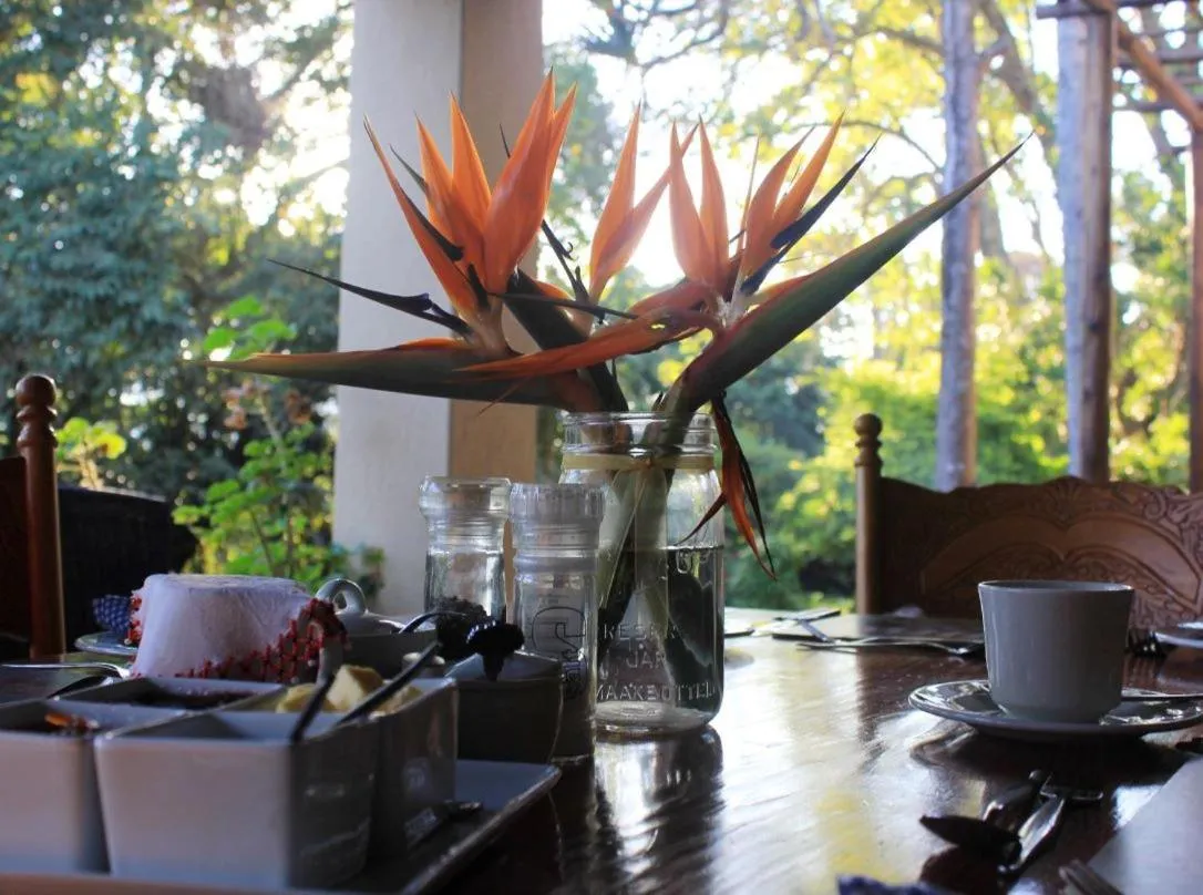 Communal lounge/ TV room in Idle & Wild Chalet