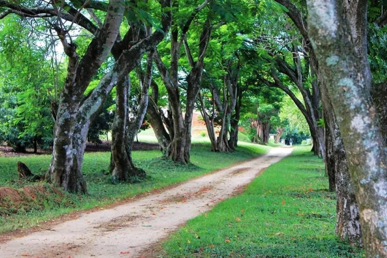 Facade/entrance in Idle & Wild Chalet