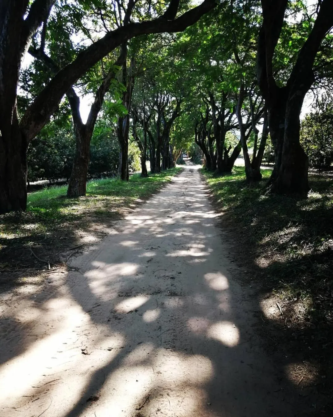 Facade/entrance in Idle & Wild Chalet