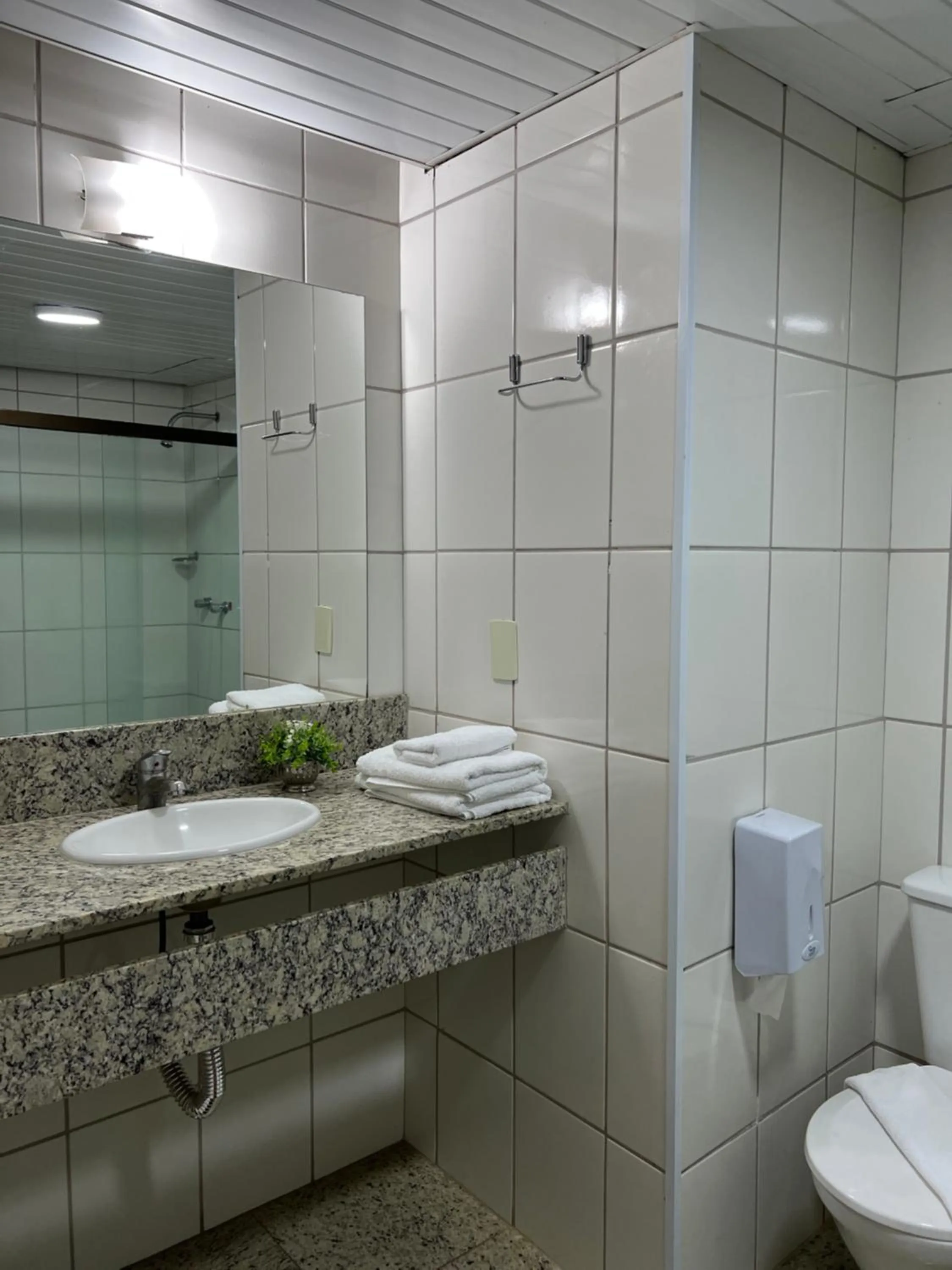 Bathroom in Hotel Vilage Inn Ribeirão Preto & Convenções