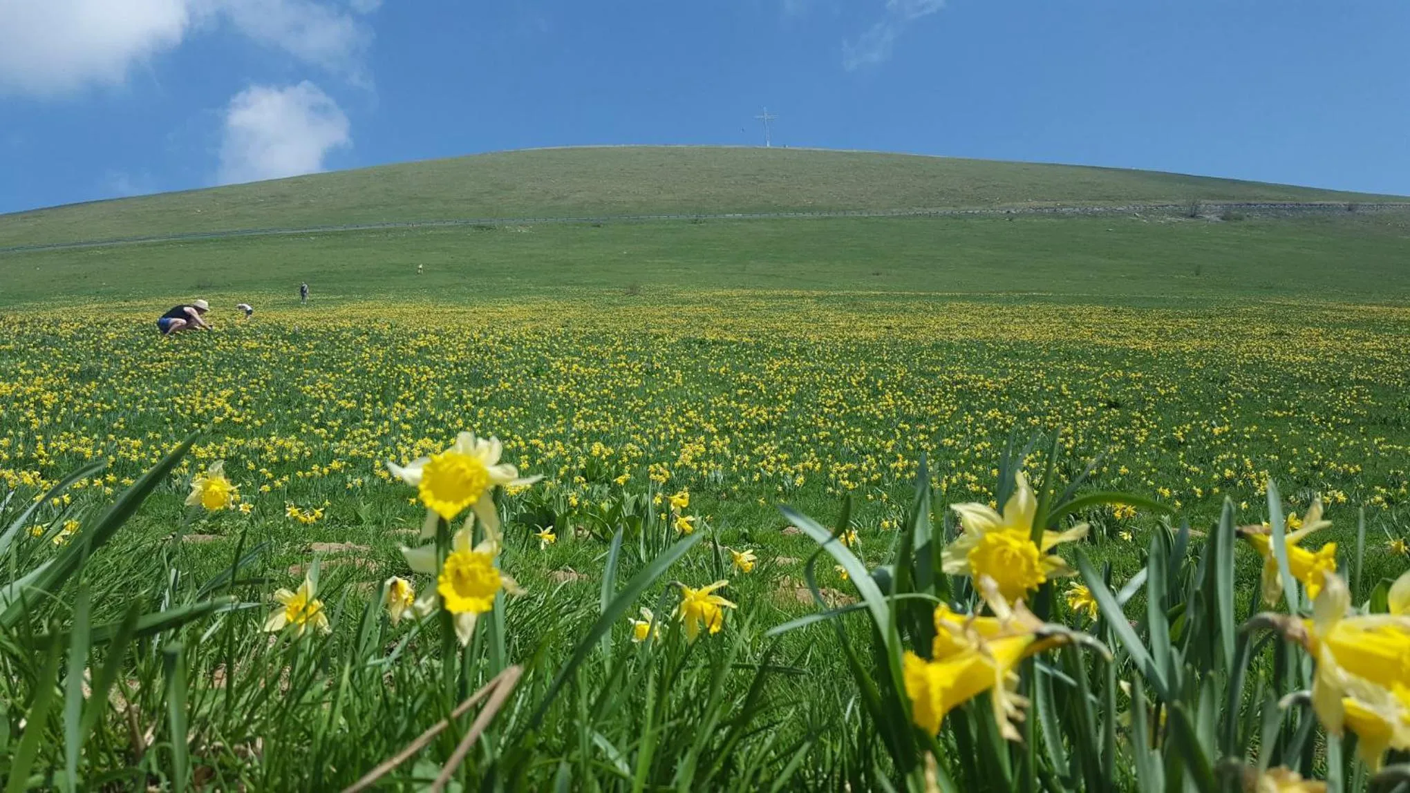 Hiking in VALRELEY, chambres et table d'hôtes eco-friendly avec bain nordique au sud du massif du Jura