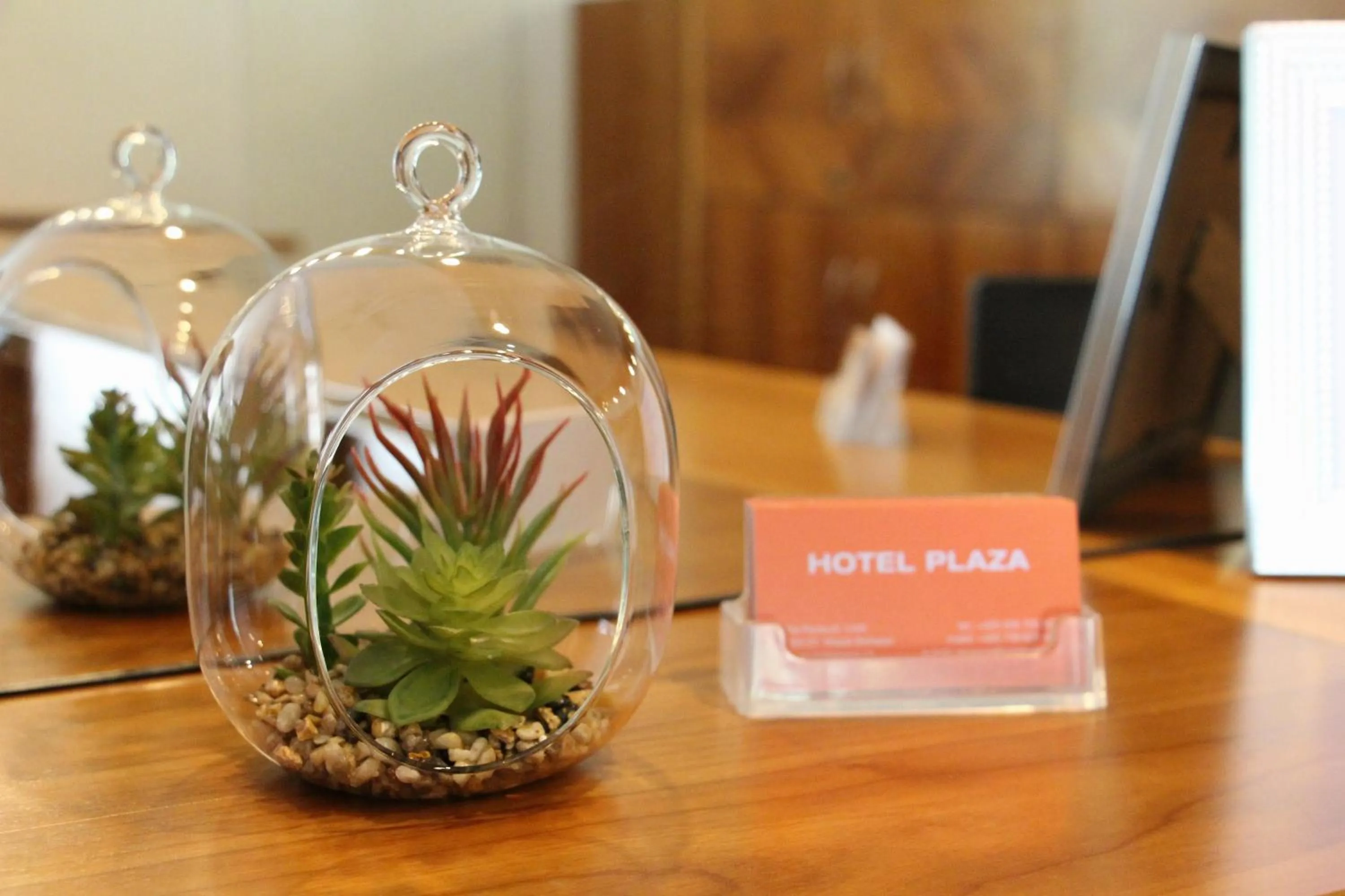 Decorative detail in Hotel Plaza