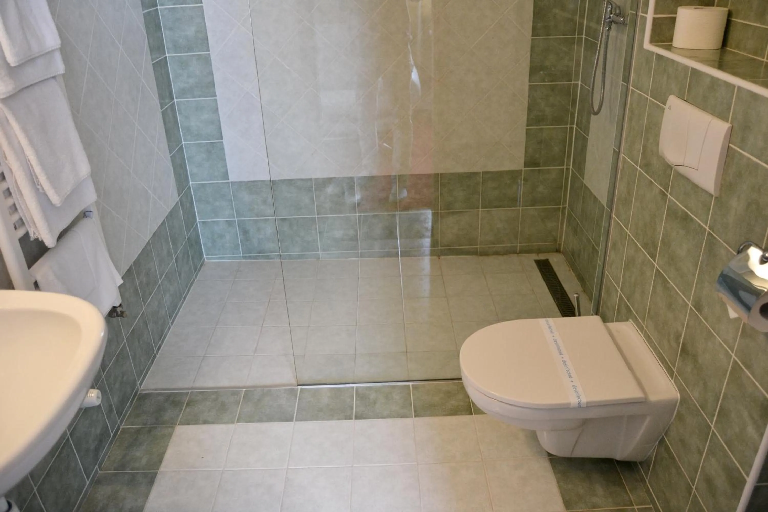 Shower, Bathroom in Hotel Plaza