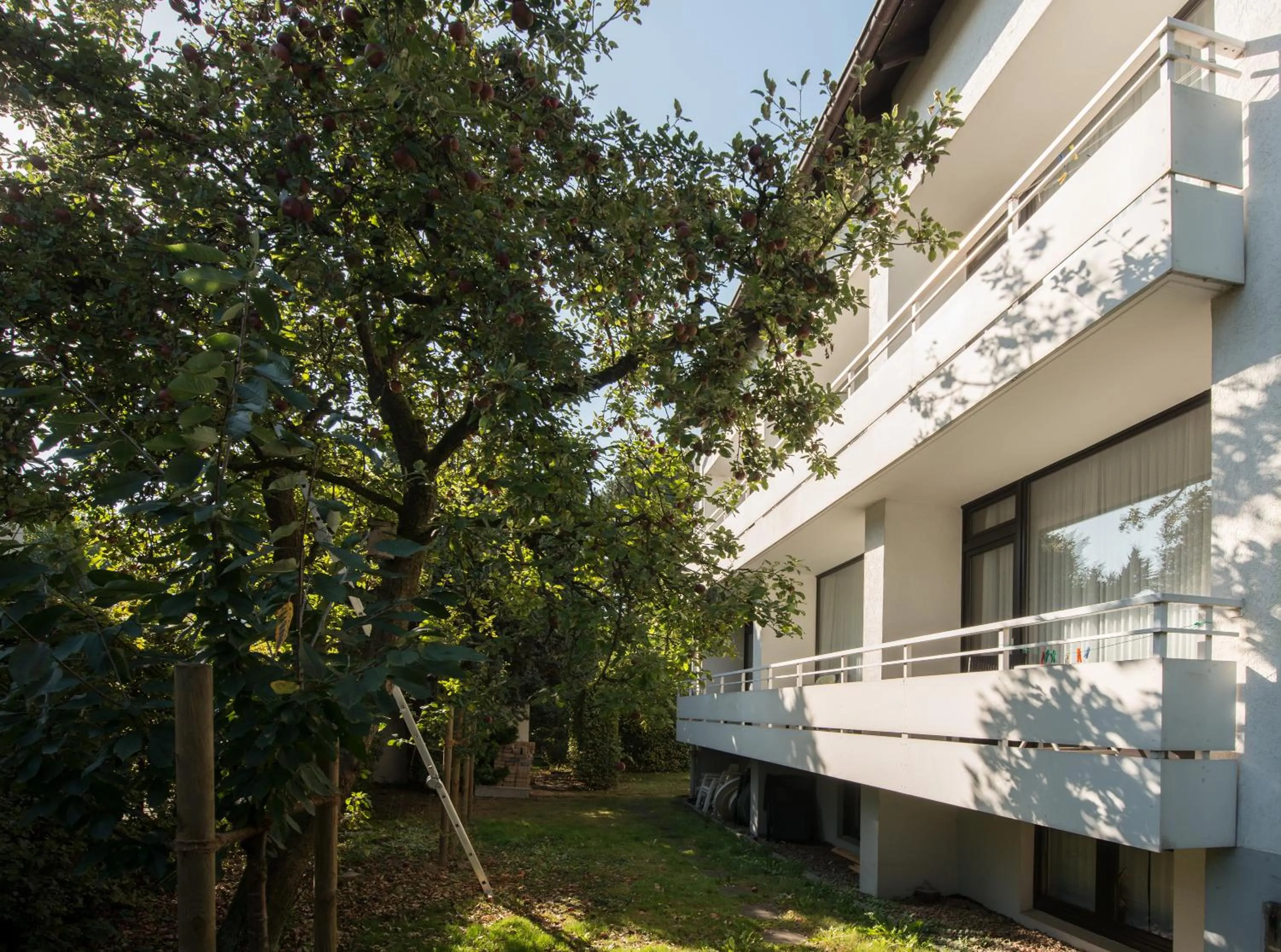 Balcony/Terrace in Hotel Joh