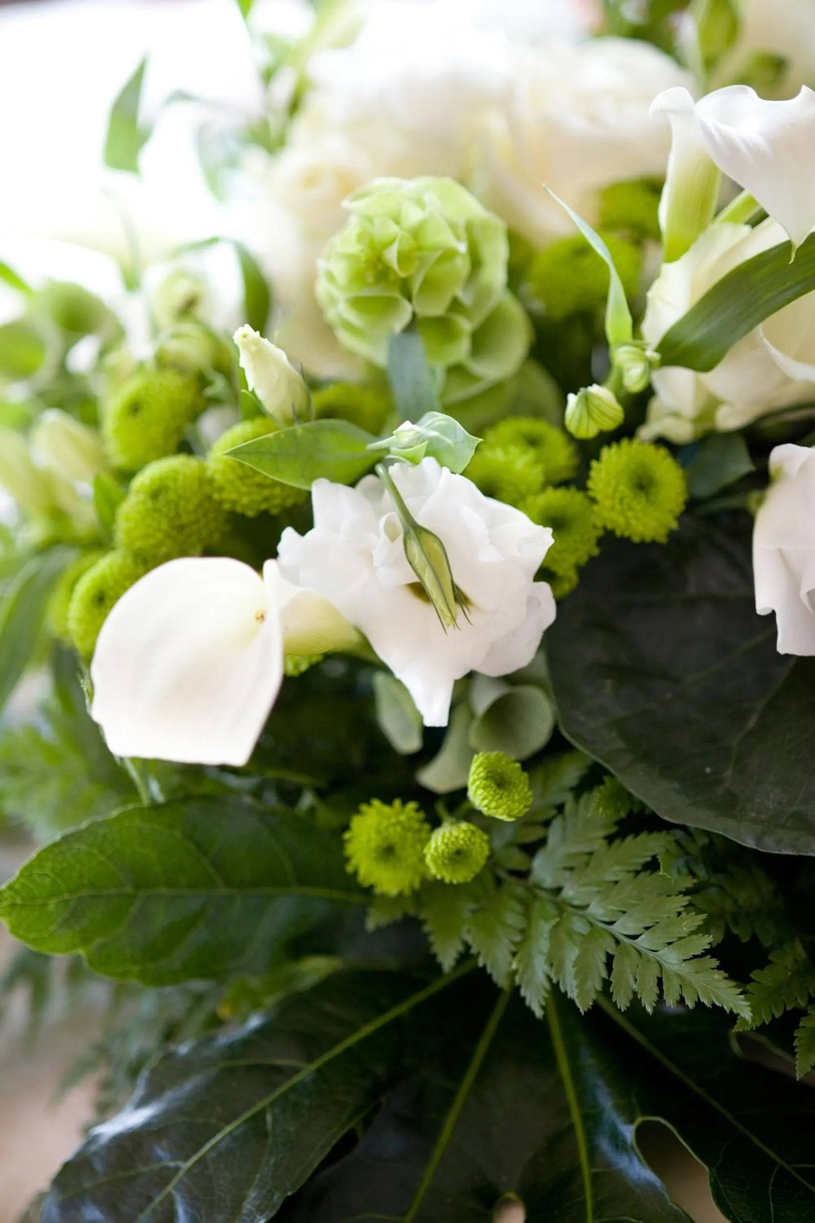 Food and drinks in Hotel Savoia