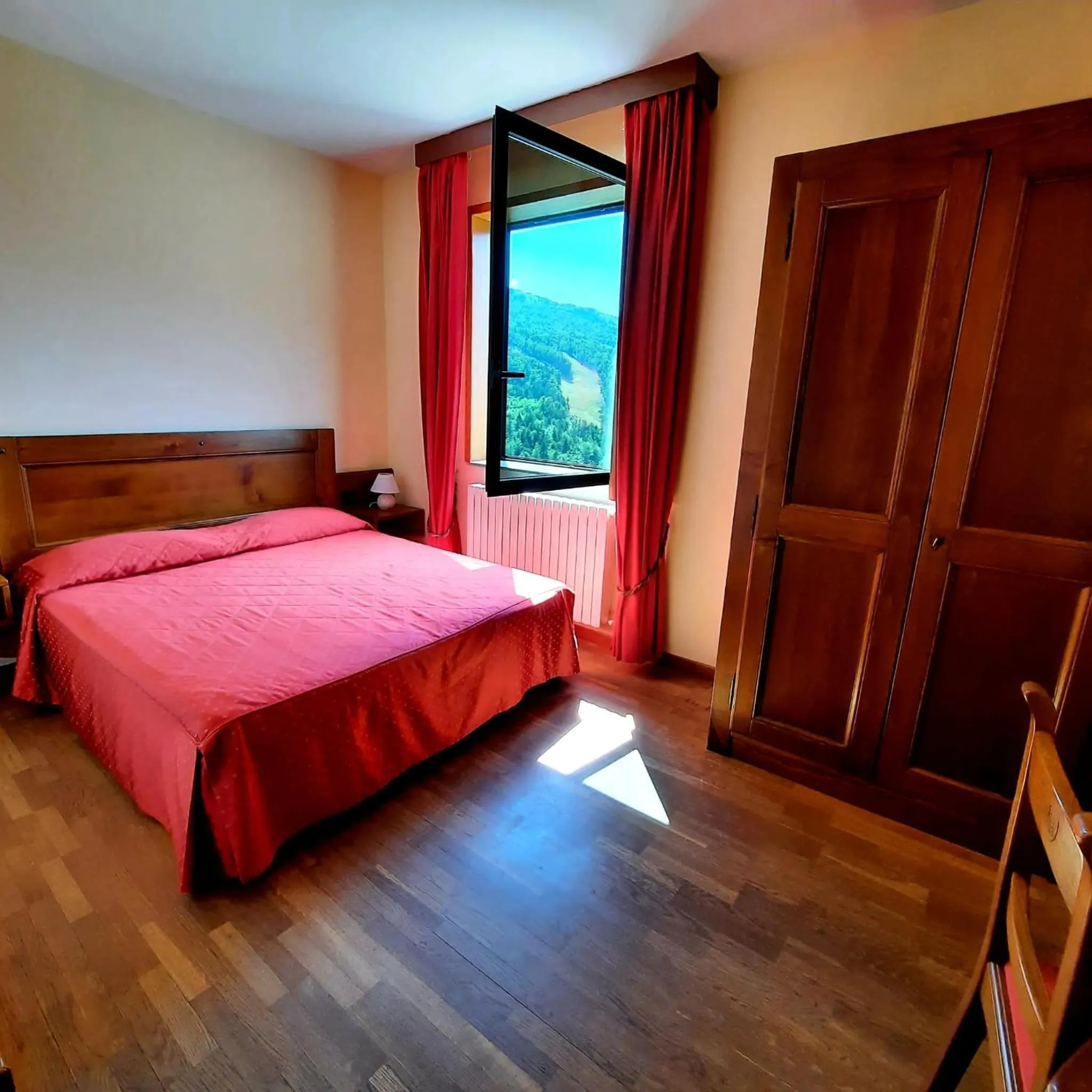 Double or Twin Room in Hotel Bellavista