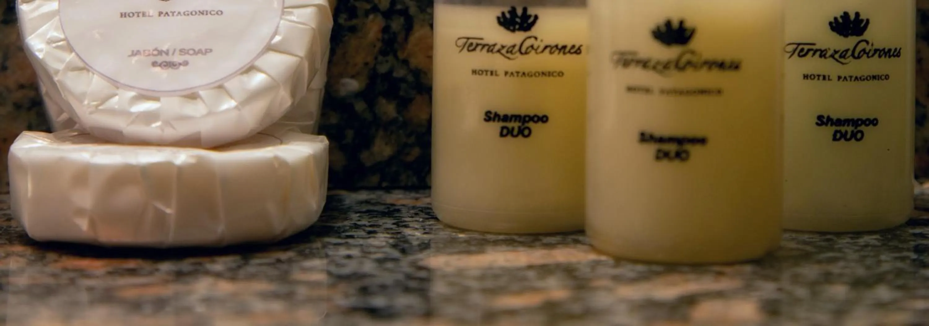 Photo of the whole room in Terraza Coirones Hotel