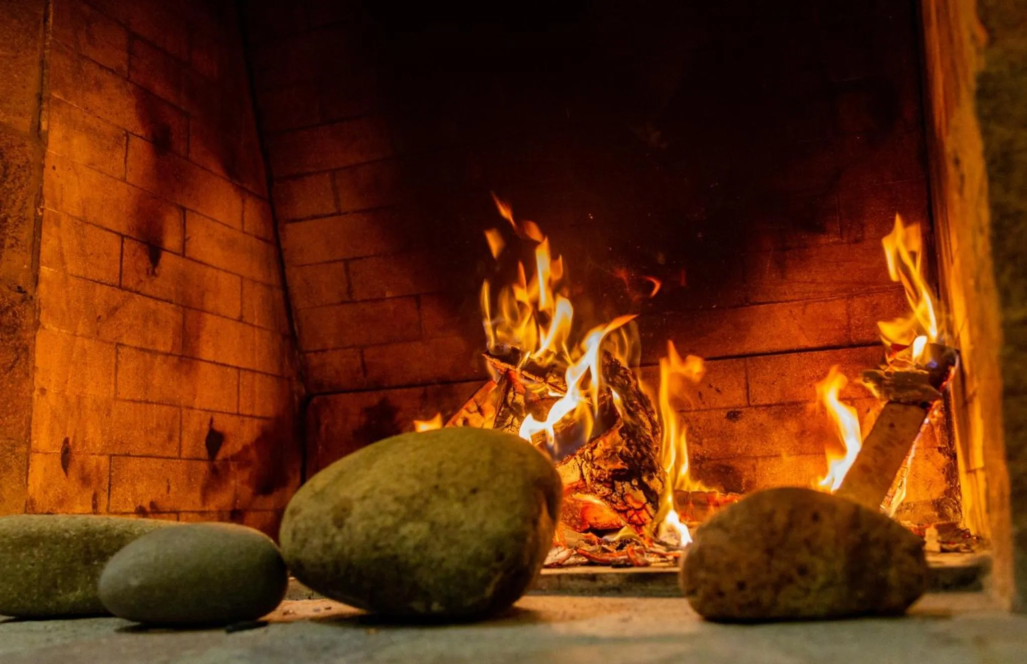 Terraza Coirones Hotel