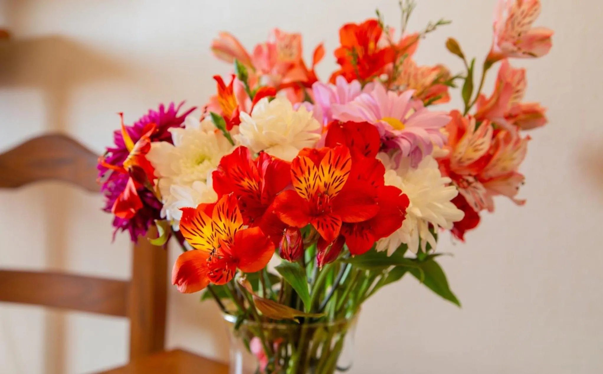 Terraza Coirones Hotel