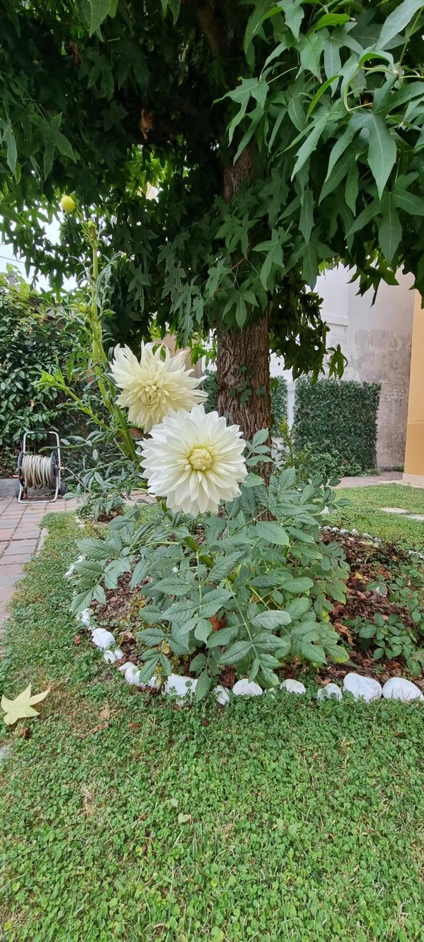 UNAHOTELS Eco Hotel Villa Costanza Venezia