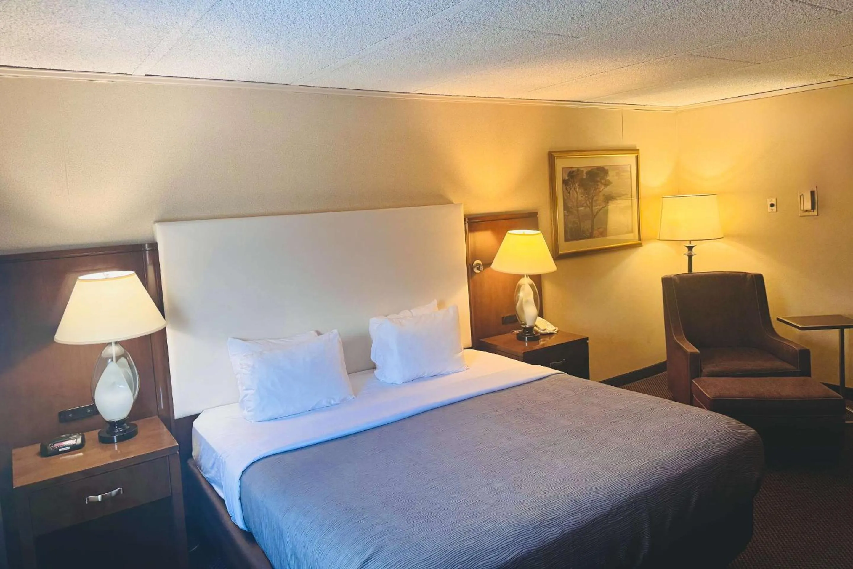 Bedroom, Bed in Quality Inn Horseheads