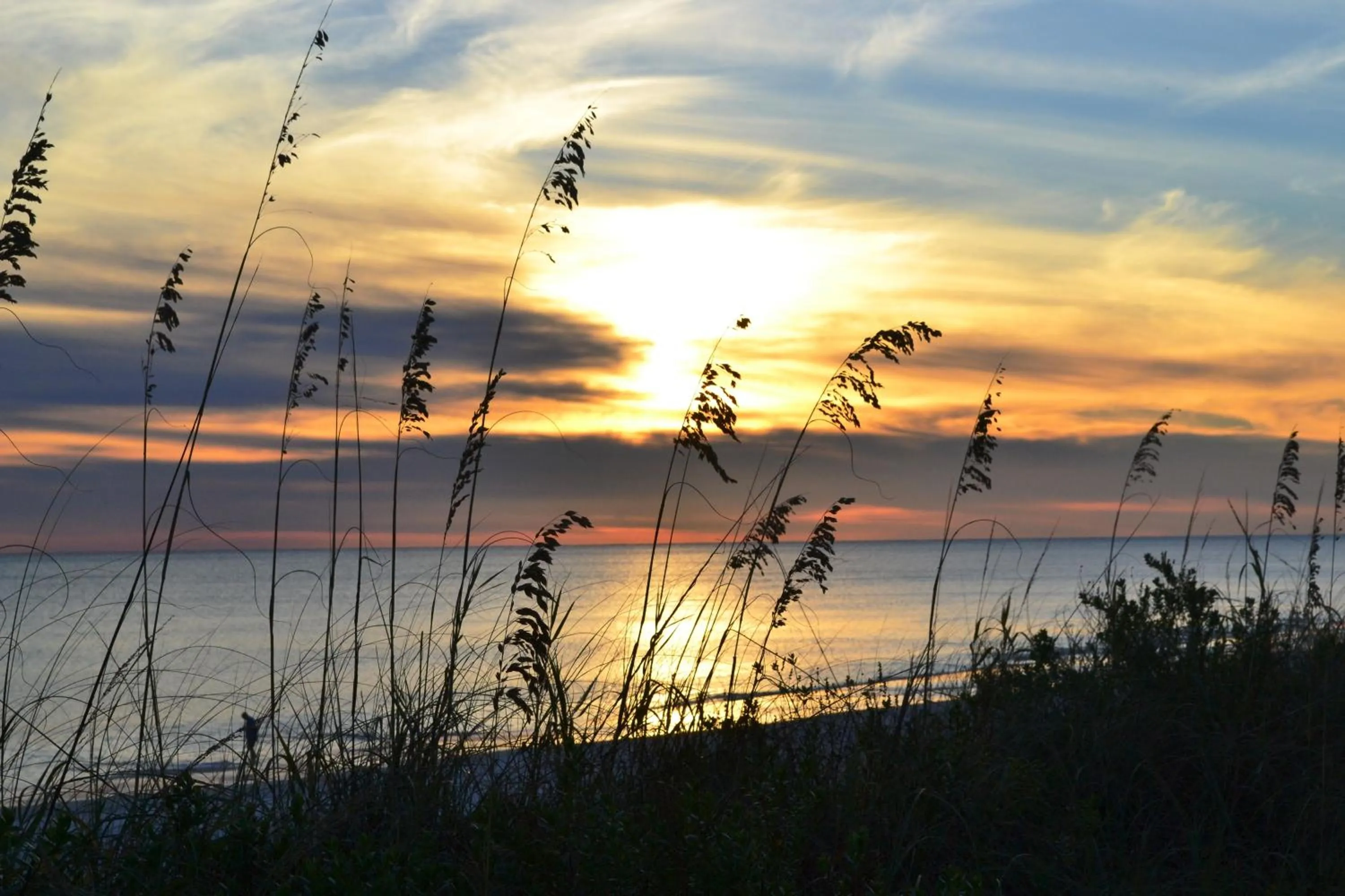 Area and facilities in Wyndham Garden Fort Walton Beach Destin