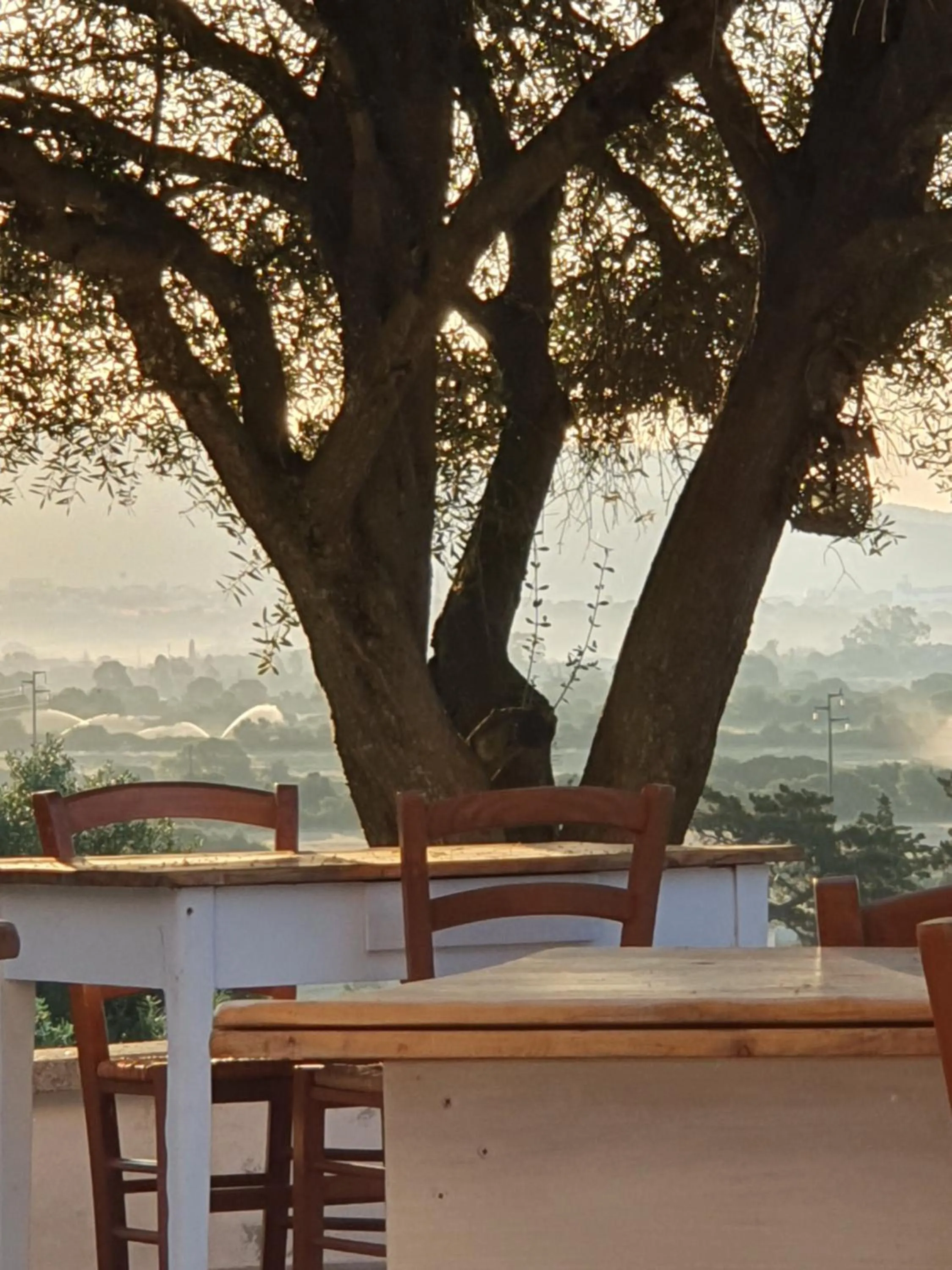 Restaurant/places to eat in Nacchinono