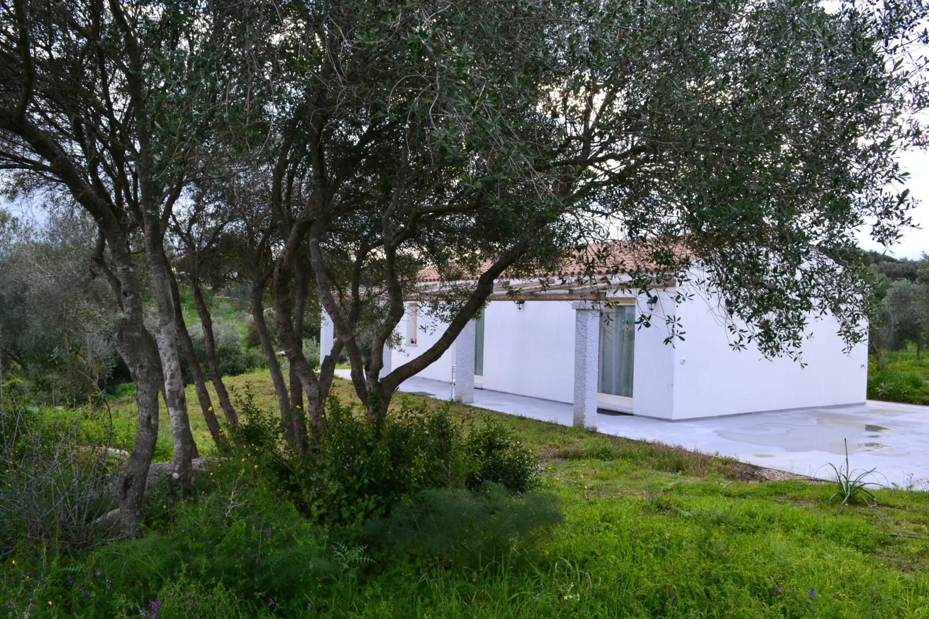 Facade/entrance in Nacchinono