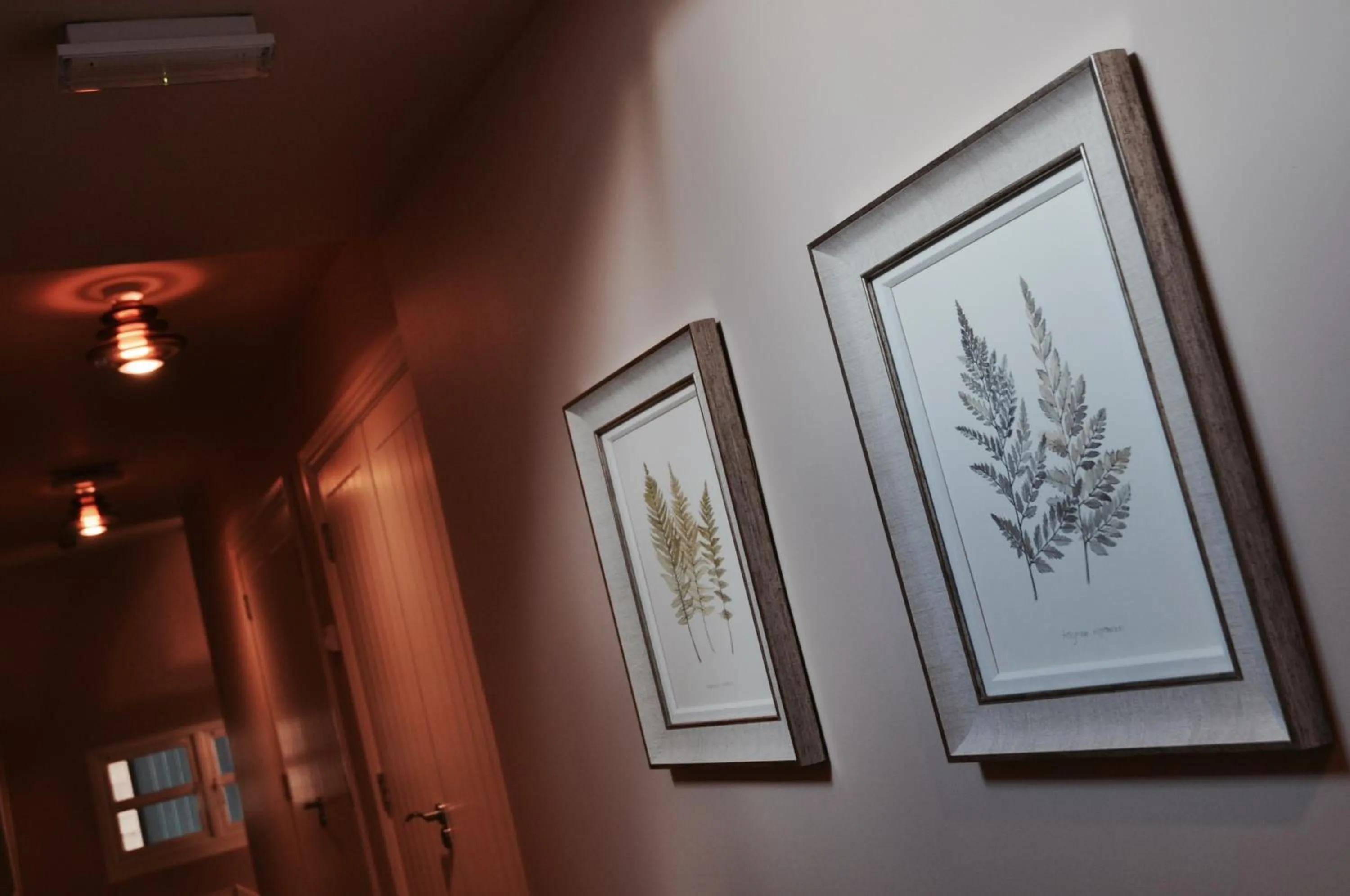 Property building in Pyne Arms