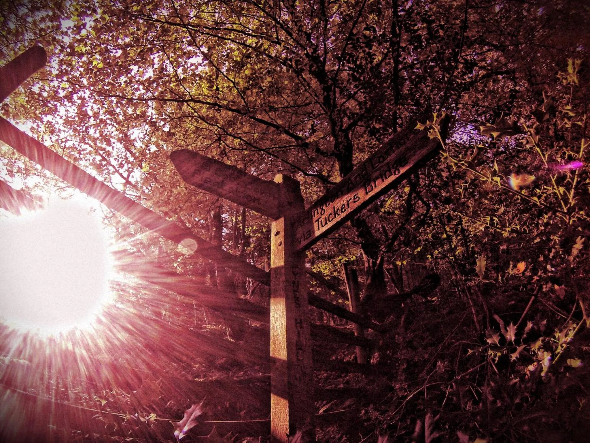 Natural landscape in Pyne Arms