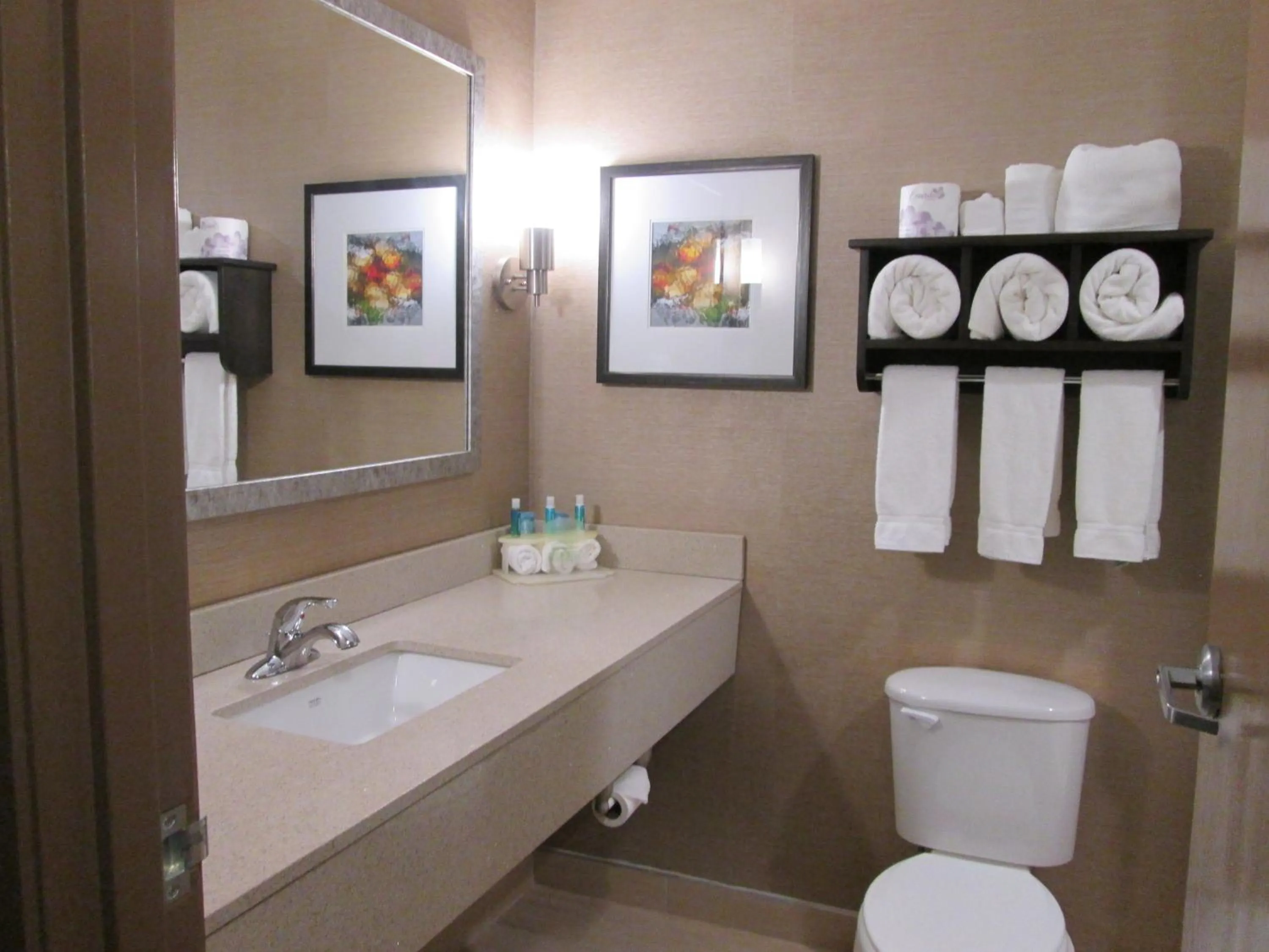 Bathroom in Holiday Inn Express Cloverdale - Greencastle by IHG