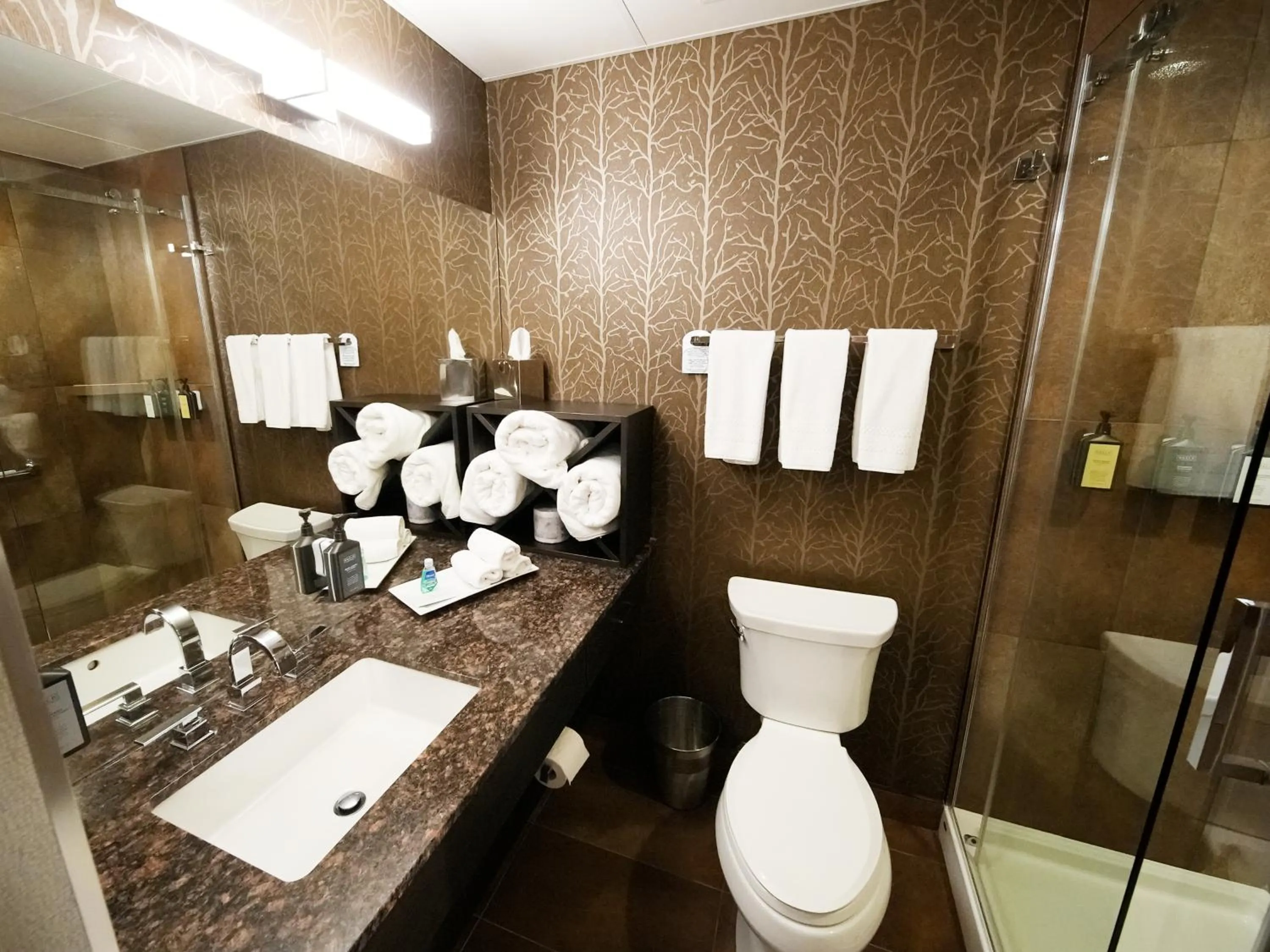 Toilet in Hotel Blackfoot