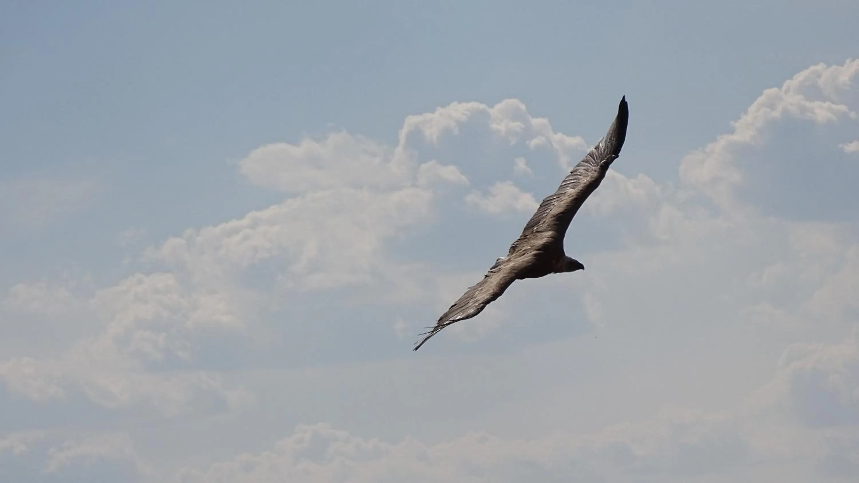 Property building in Hotel Cardamomo Sigüenza