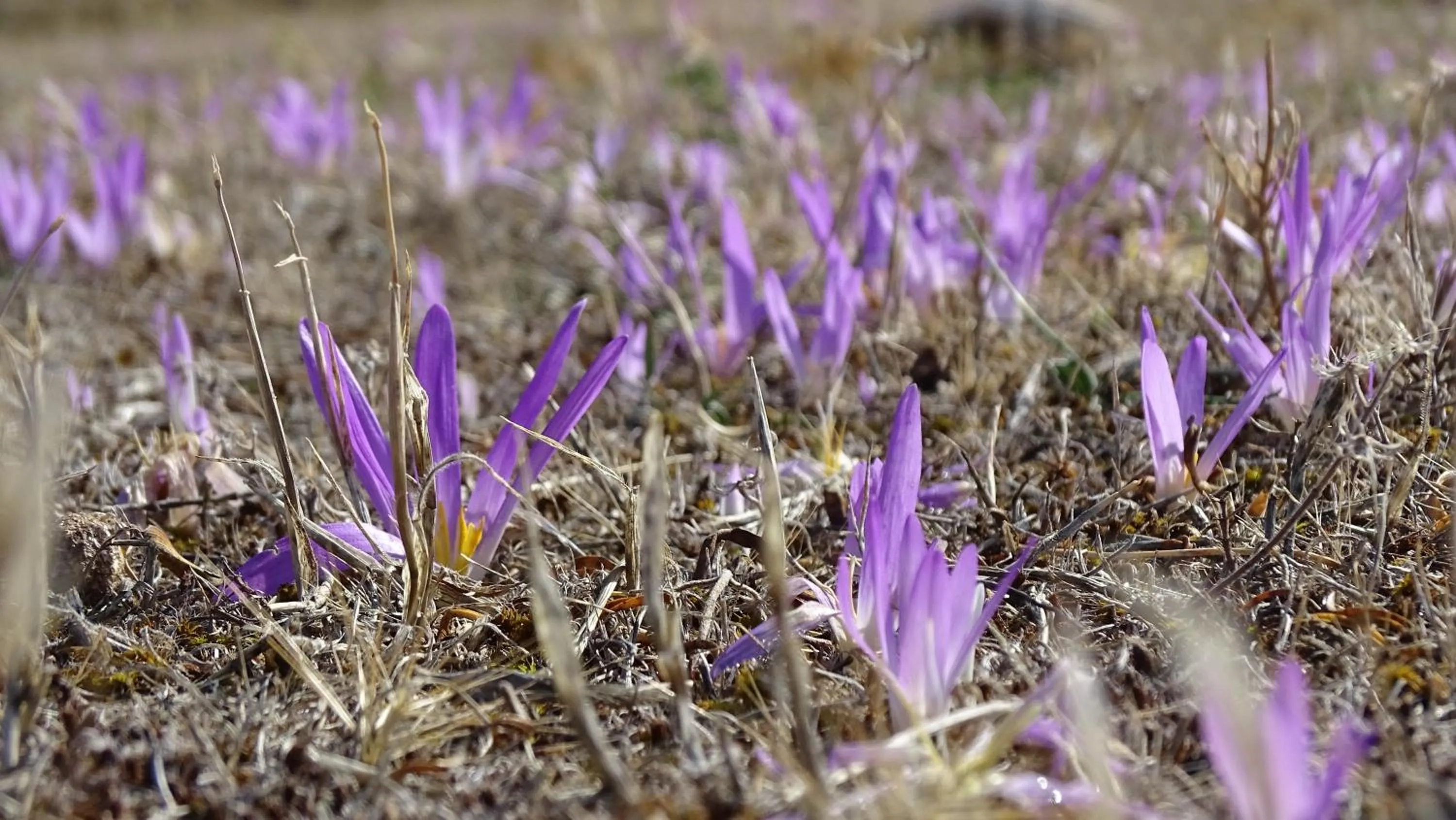 Property building in Hotel Cardamomo Sigüenza