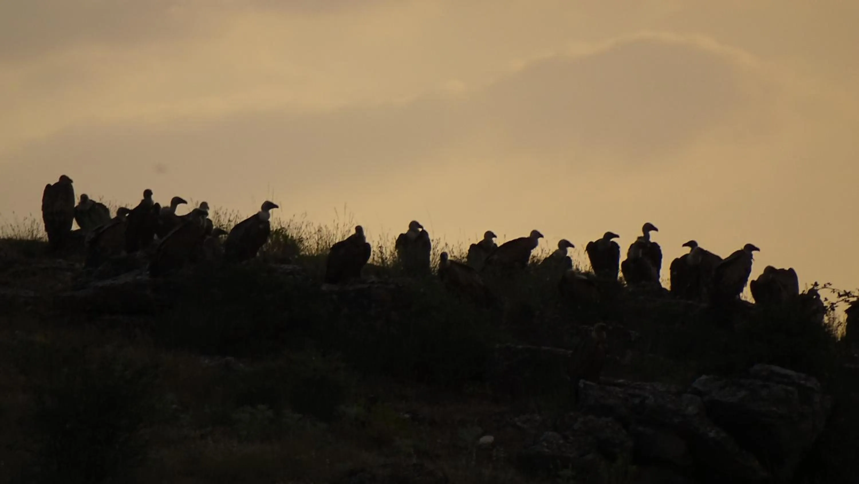Property building in Hotel Cardamomo Sigüenza