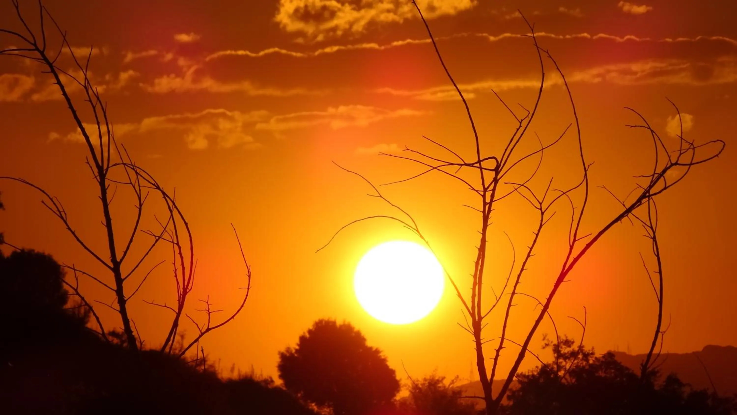 Property building in Hotel Cardamomo Sigüenza