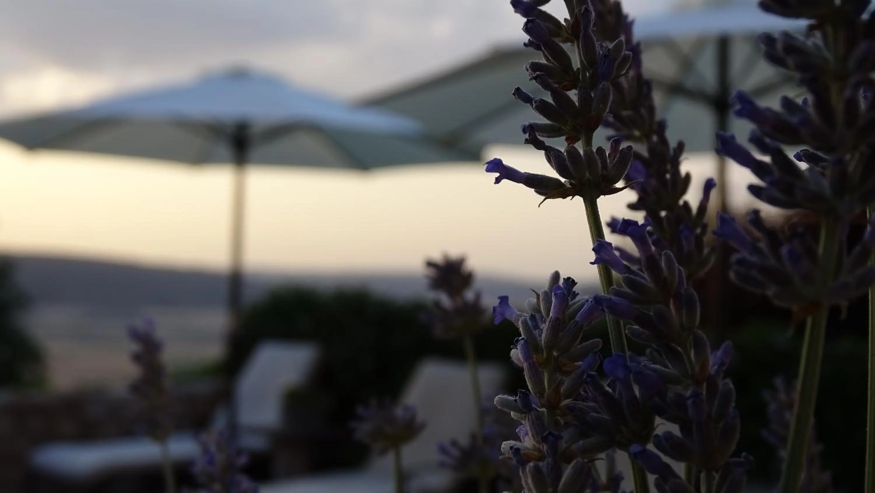 Property building in Hotel Cardamomo Sigüenza