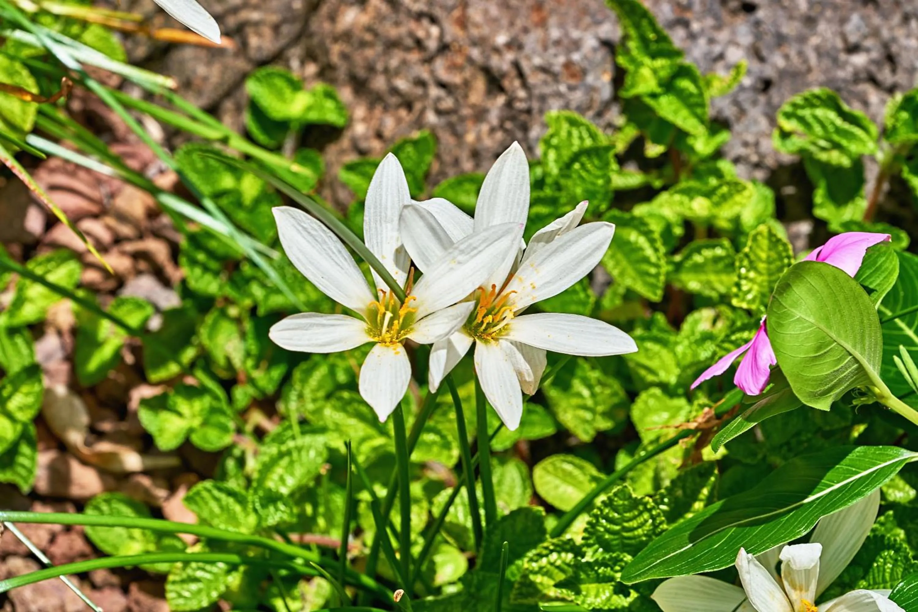 Natural landscape in Blue Summit Hideaway