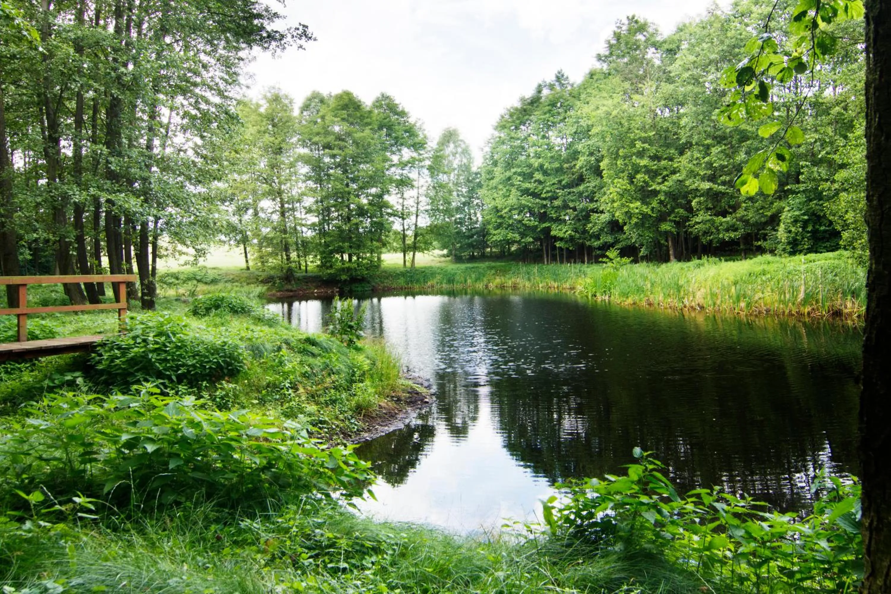 Day in Hotel Pory Roku