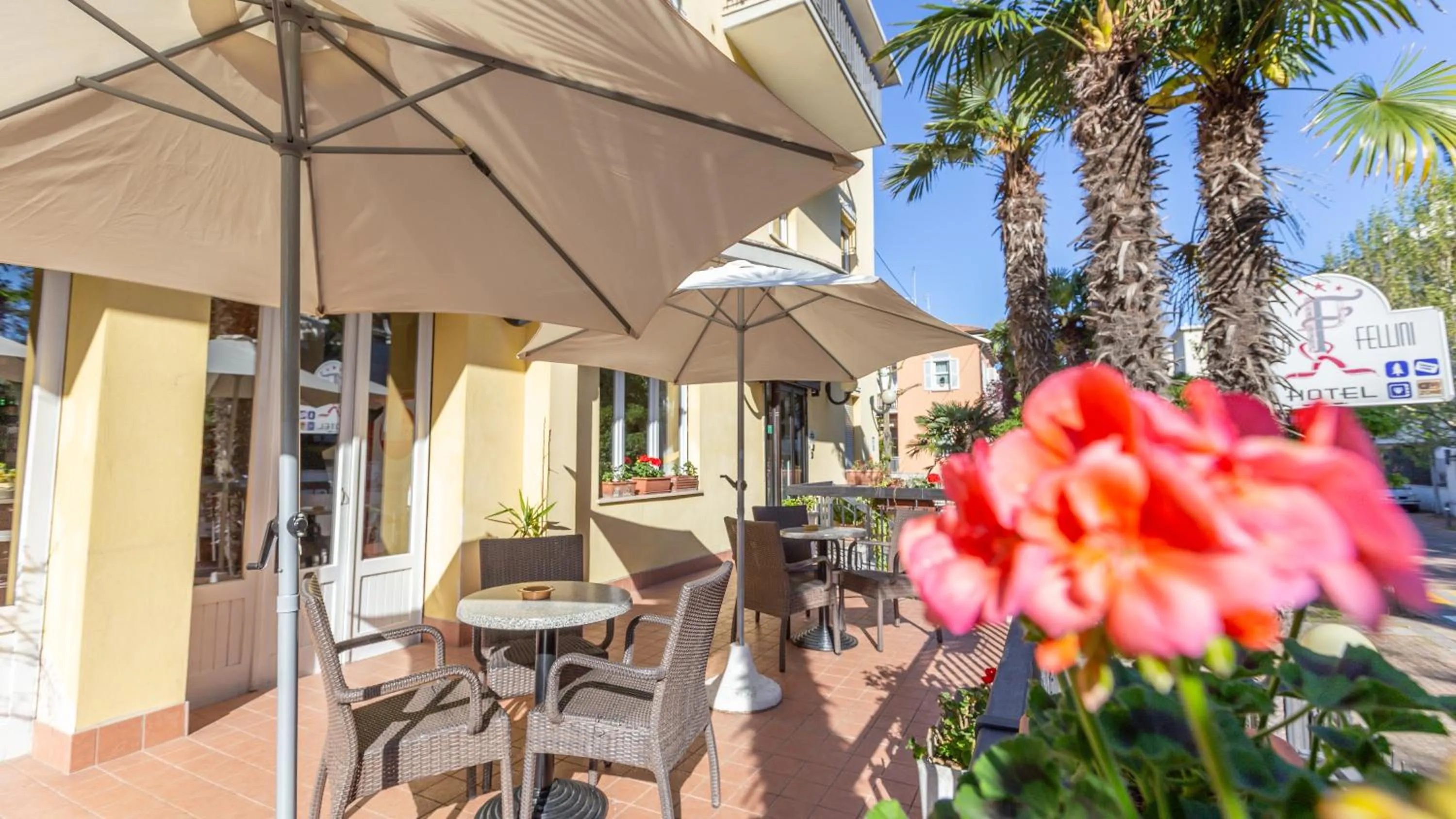 Balcony/Terrace in Hotel Parco Fellini