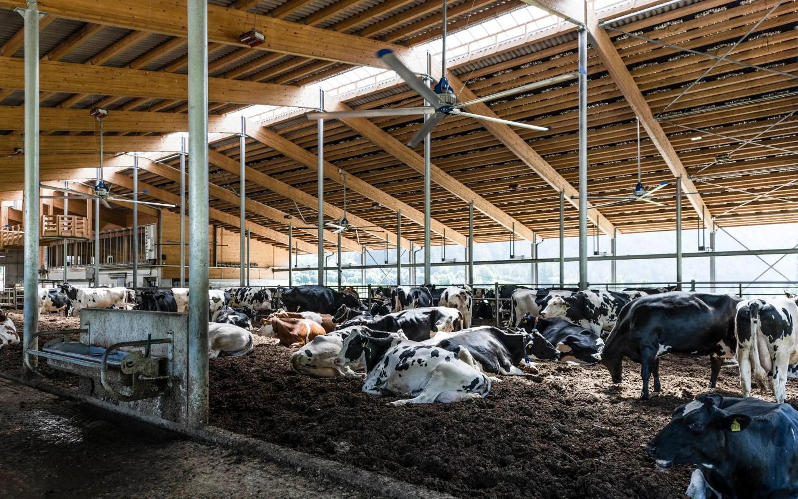 Animals in Romantik Hotel & Restaurant Stafler