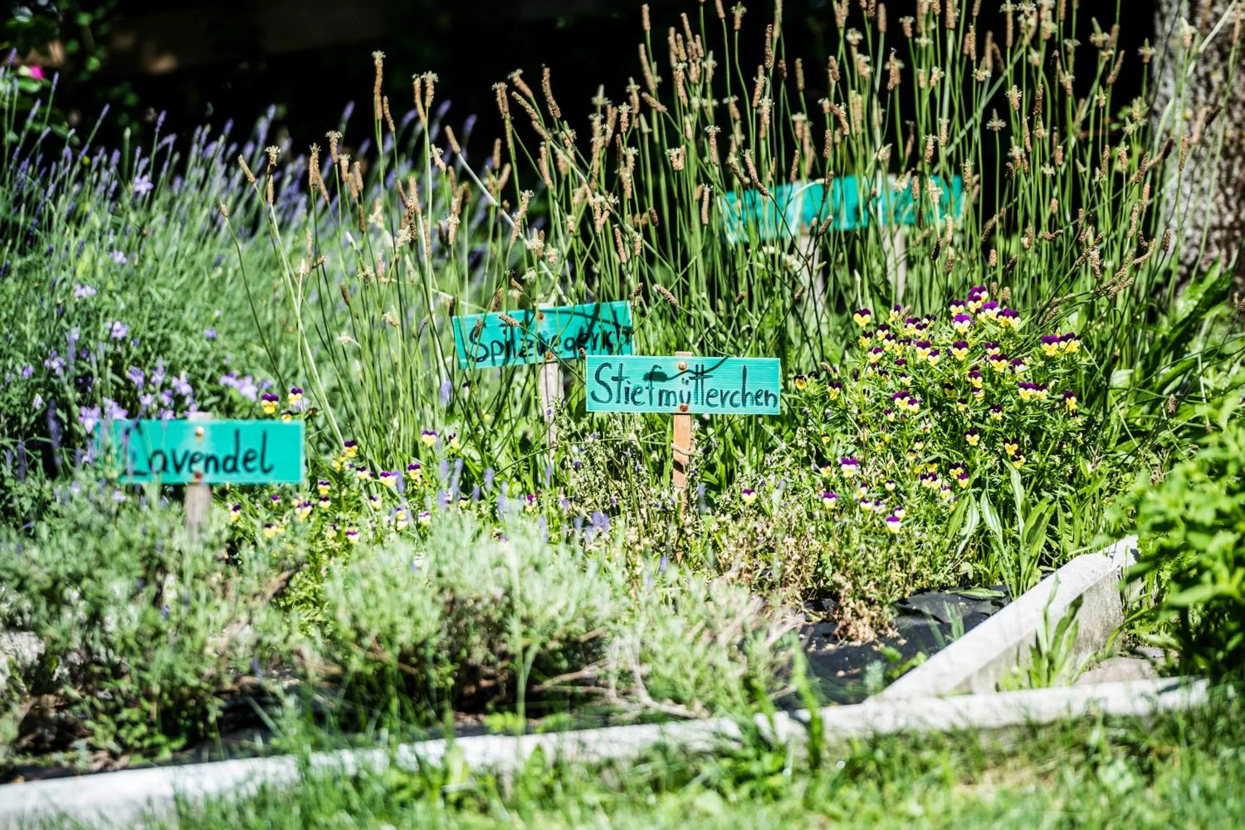 Garden in Romantik Hotel & Restaurant Stafler