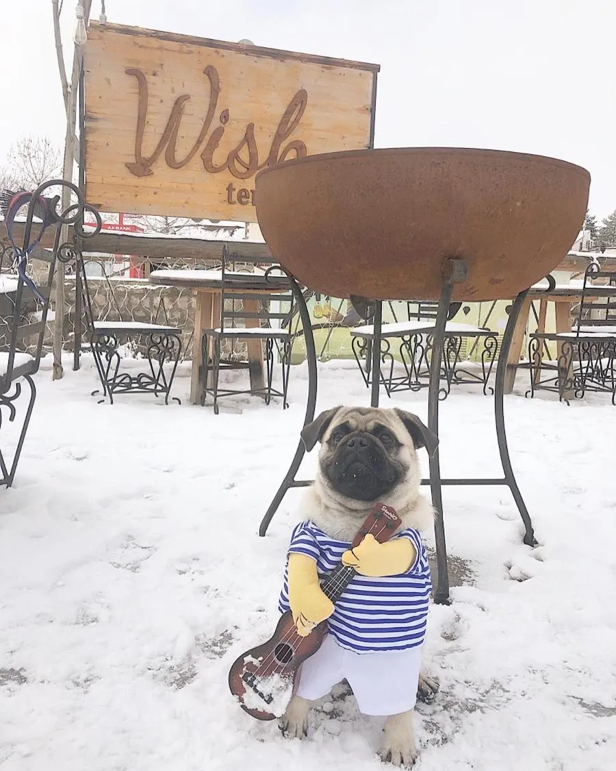 Wish Cappadocia Luxury Boutique Chain Hotels