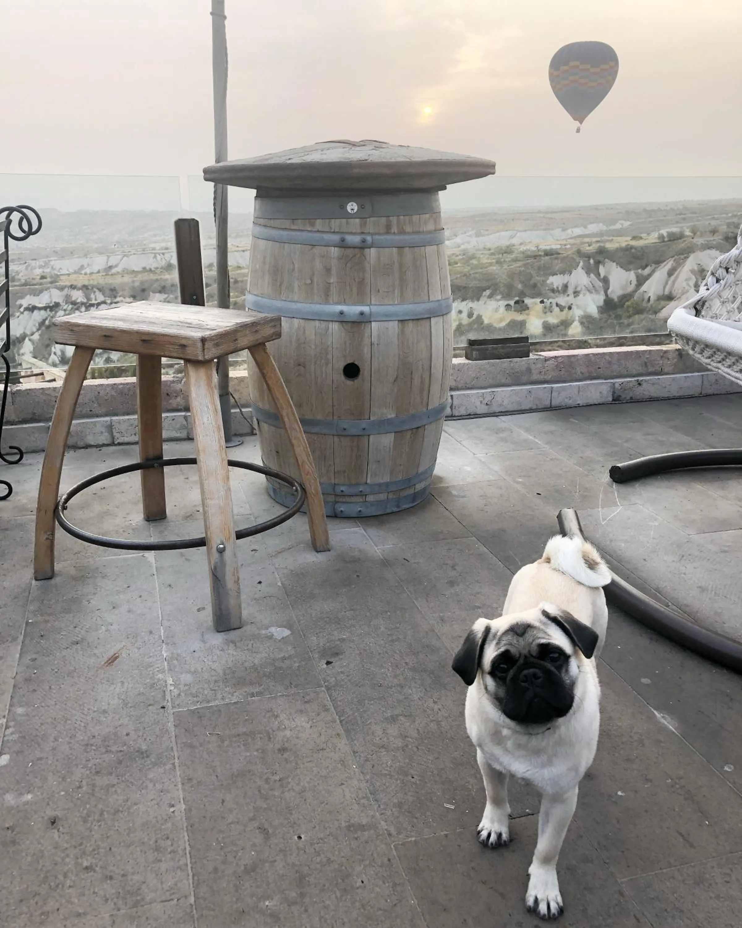 Pets in Wish Cappadocia Luxury Boutique Chain Hotels