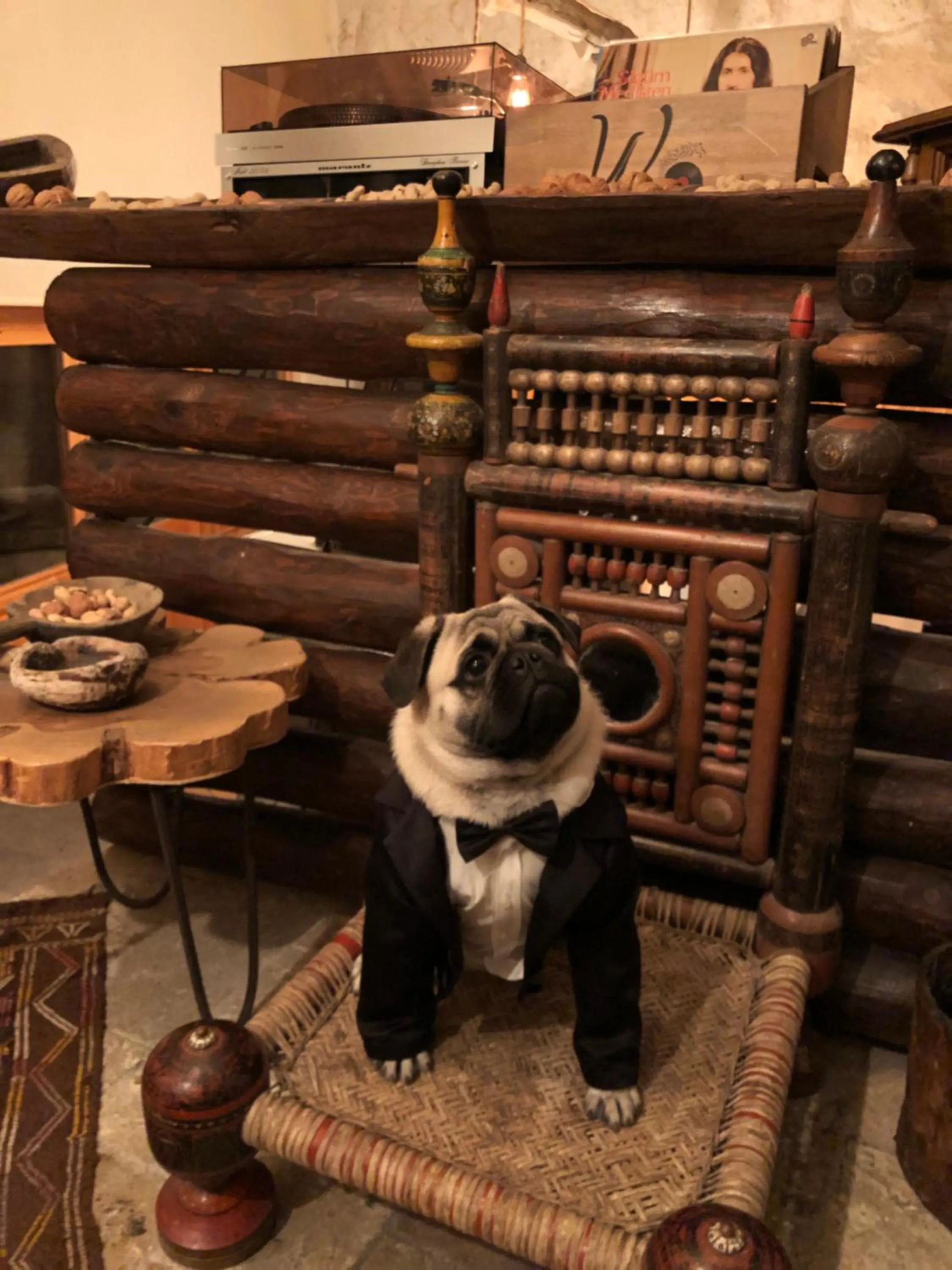 Pets in Wish Cappadocia Luxury Boutique Chain Hotels