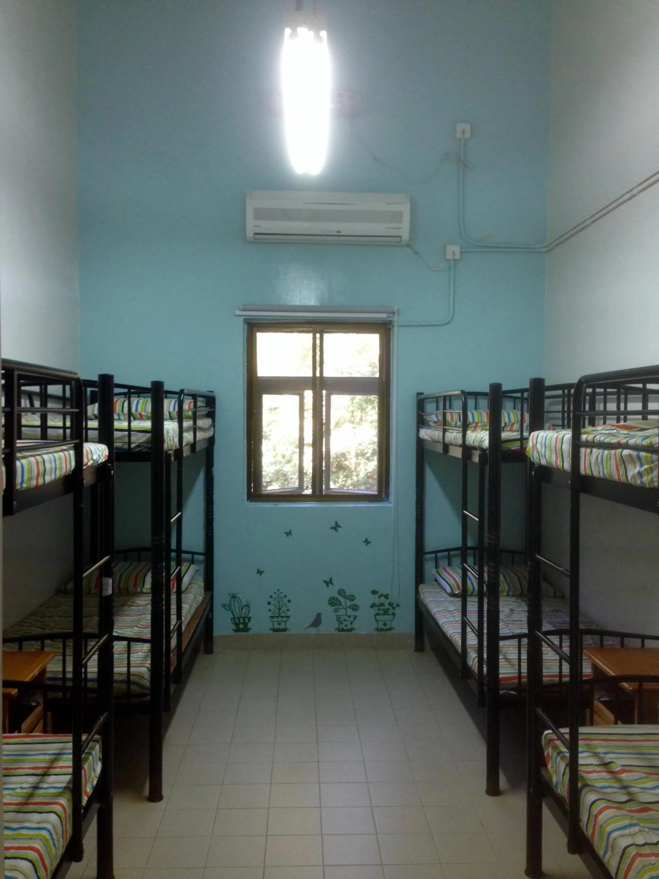 Bed in YHA Ngong Ping SG Davis Youth Hostel